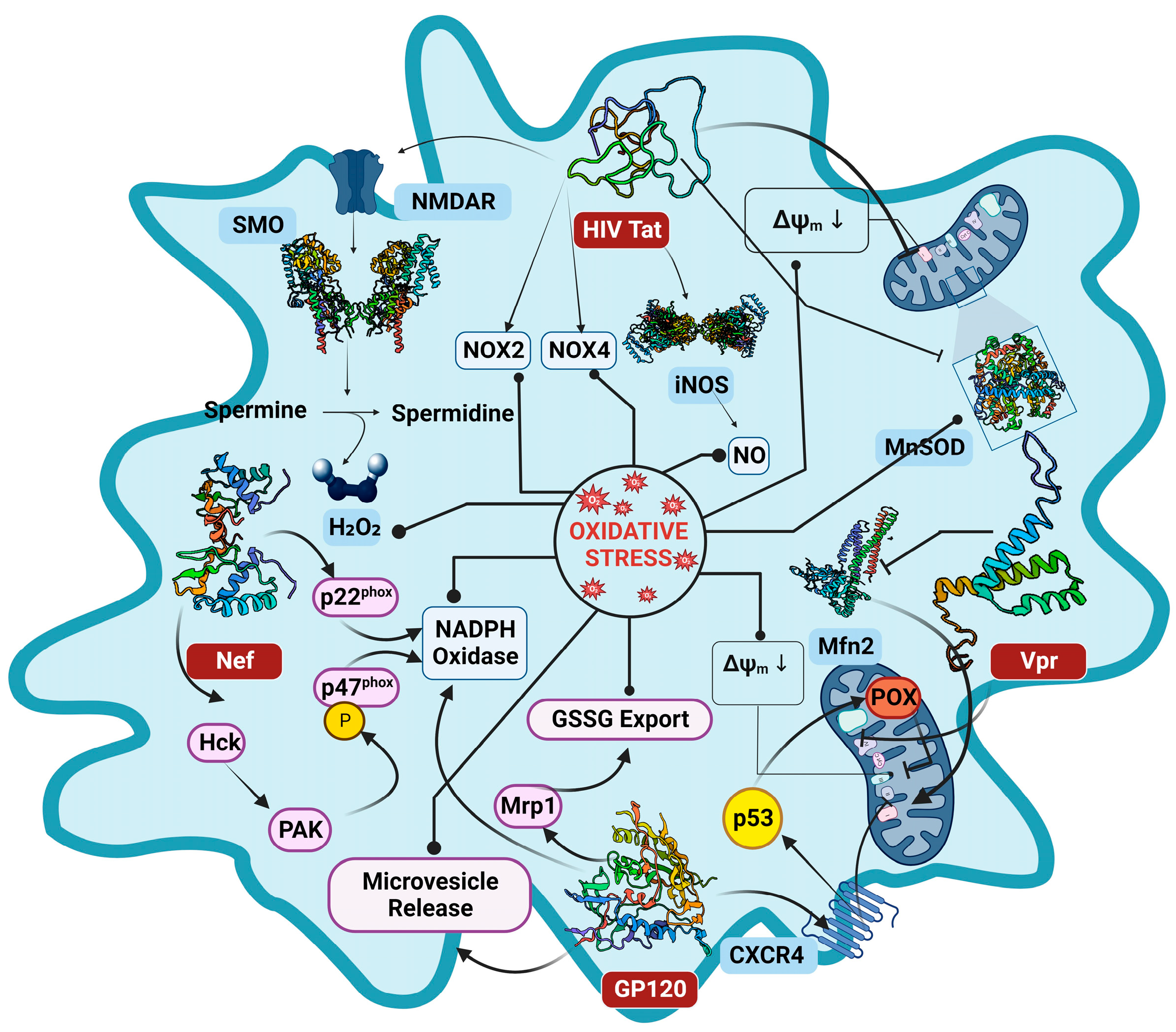 Cimb 46 00523 g004 Cimb 46 00523 g004