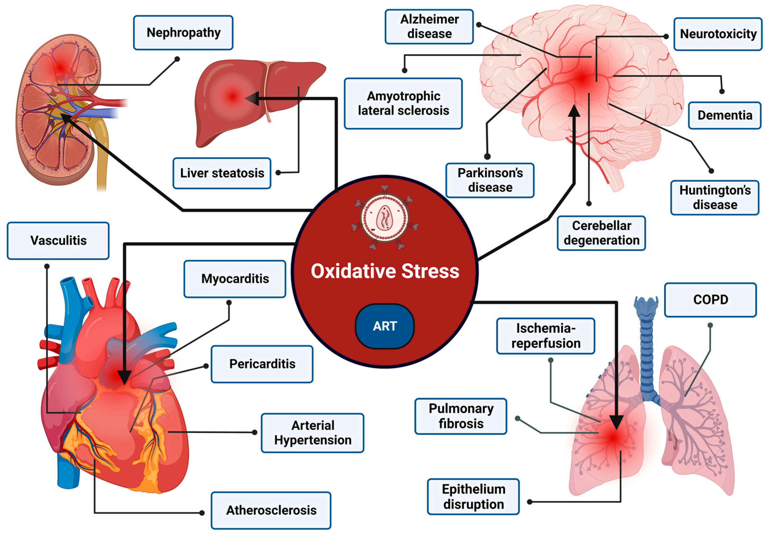 Cimb 46 00523 g005 Cimb 46 00523 g005