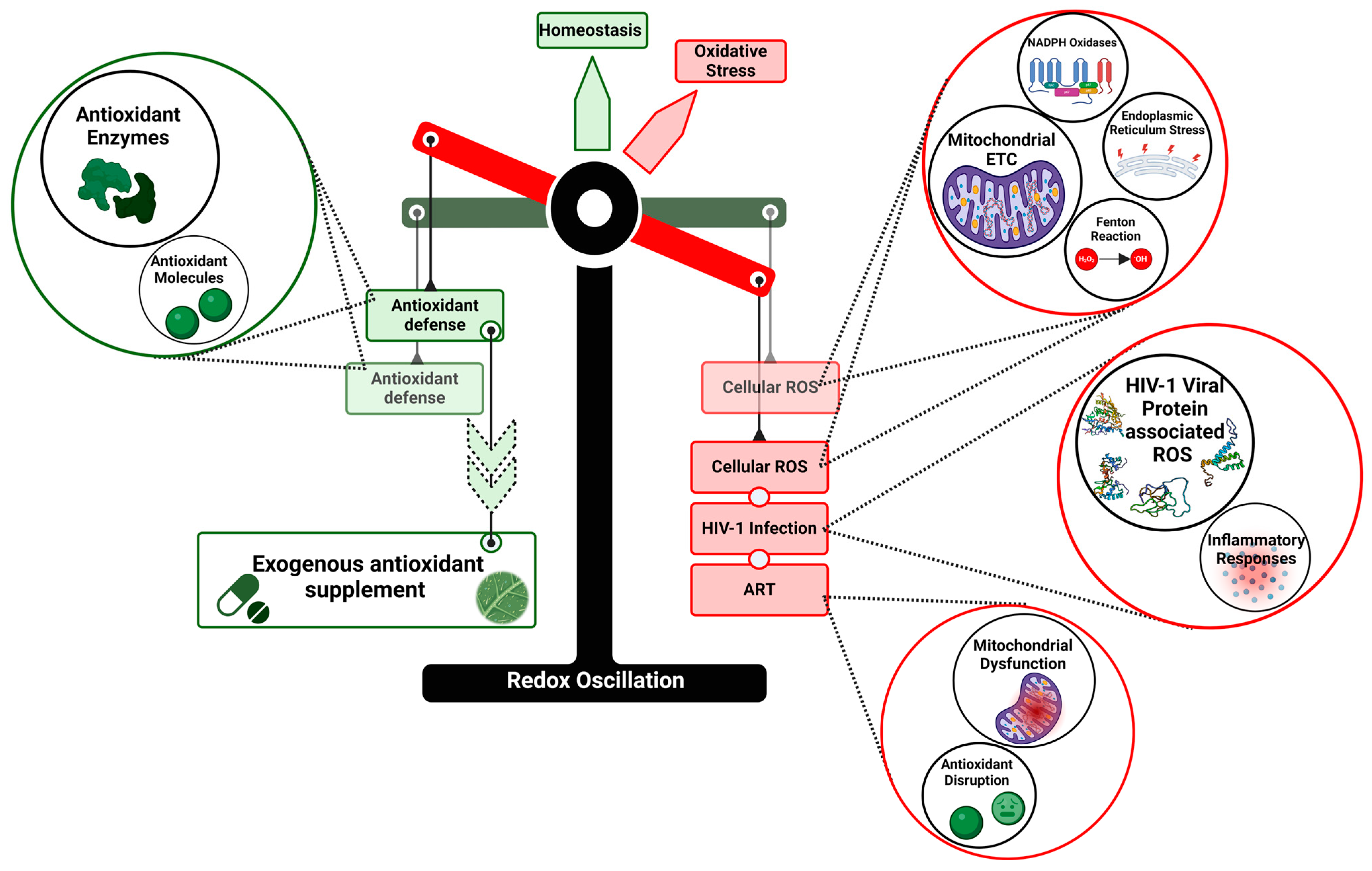 Cimb 46 00523 g006 Cimb 46 00523 g006