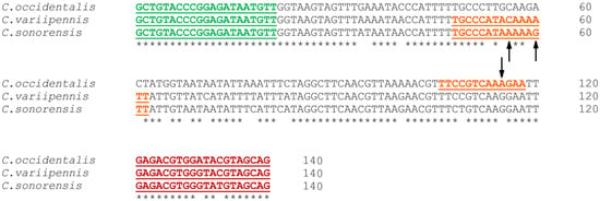 CIMB | Free Full-Text | Development of a Multiplex Real-Time PCR to ...