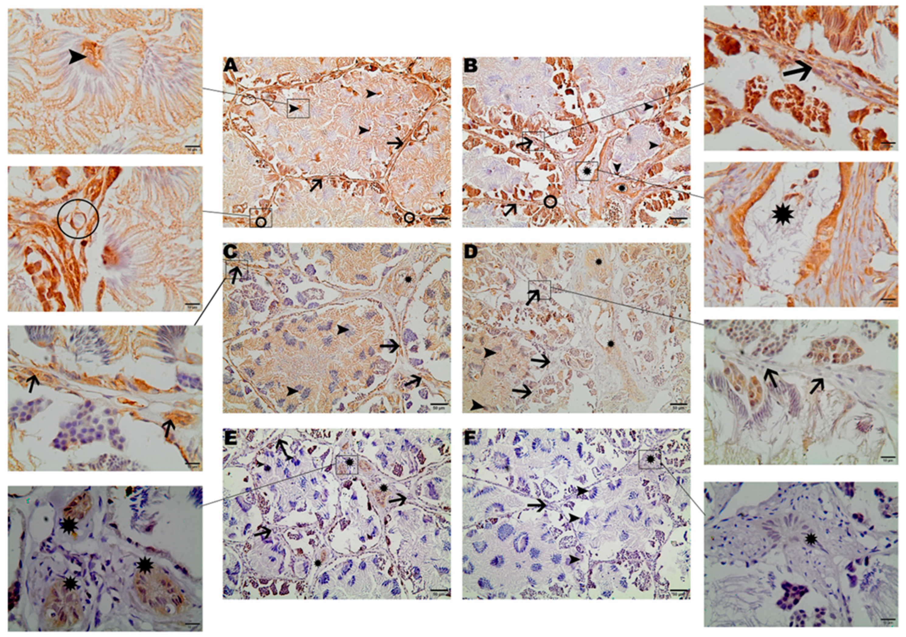 Cimb 46 00594 g001 Cimb 46 00594 g001