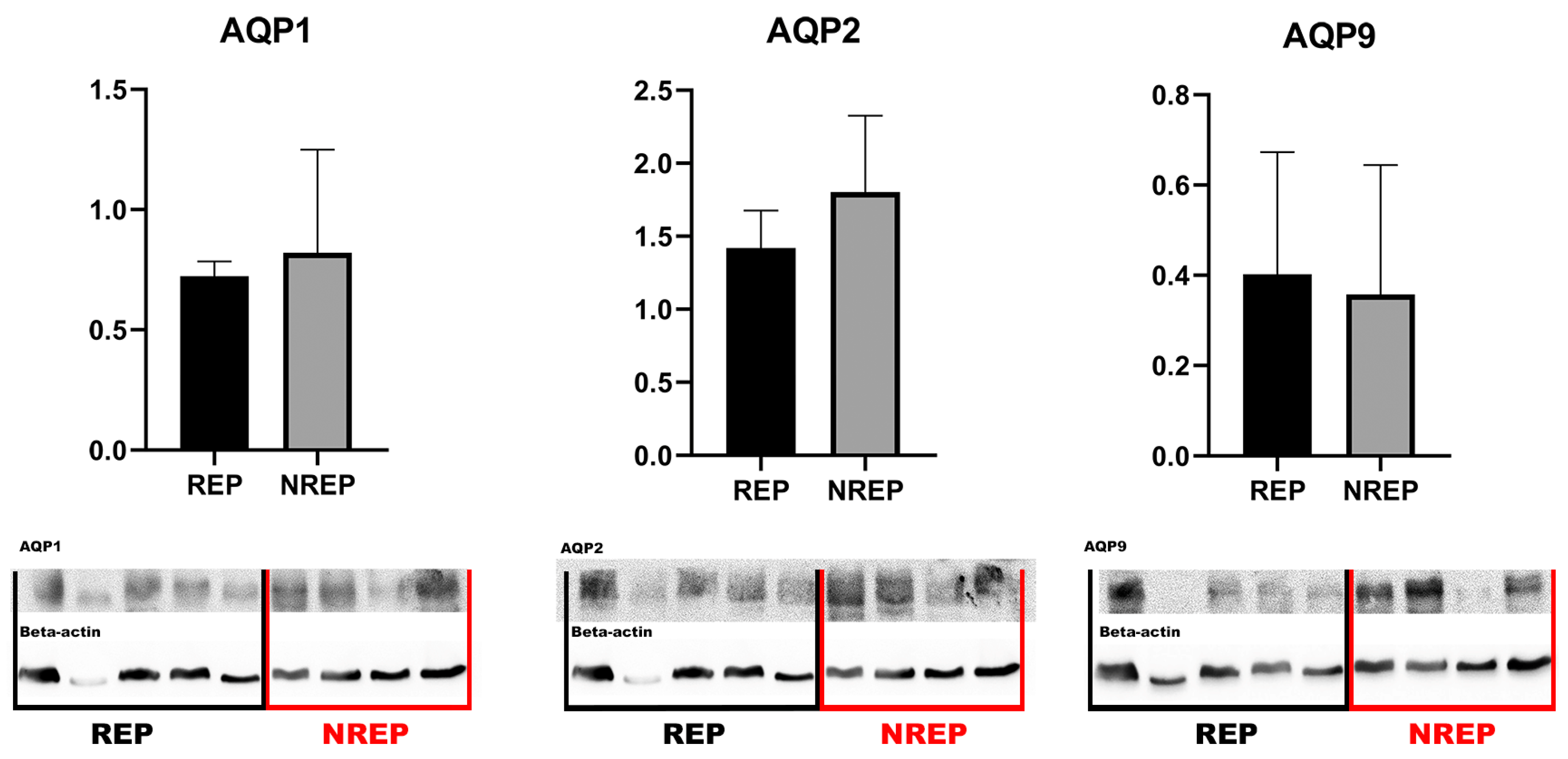 Cimb 46 00594 g002 Cimb 46 00594 g002