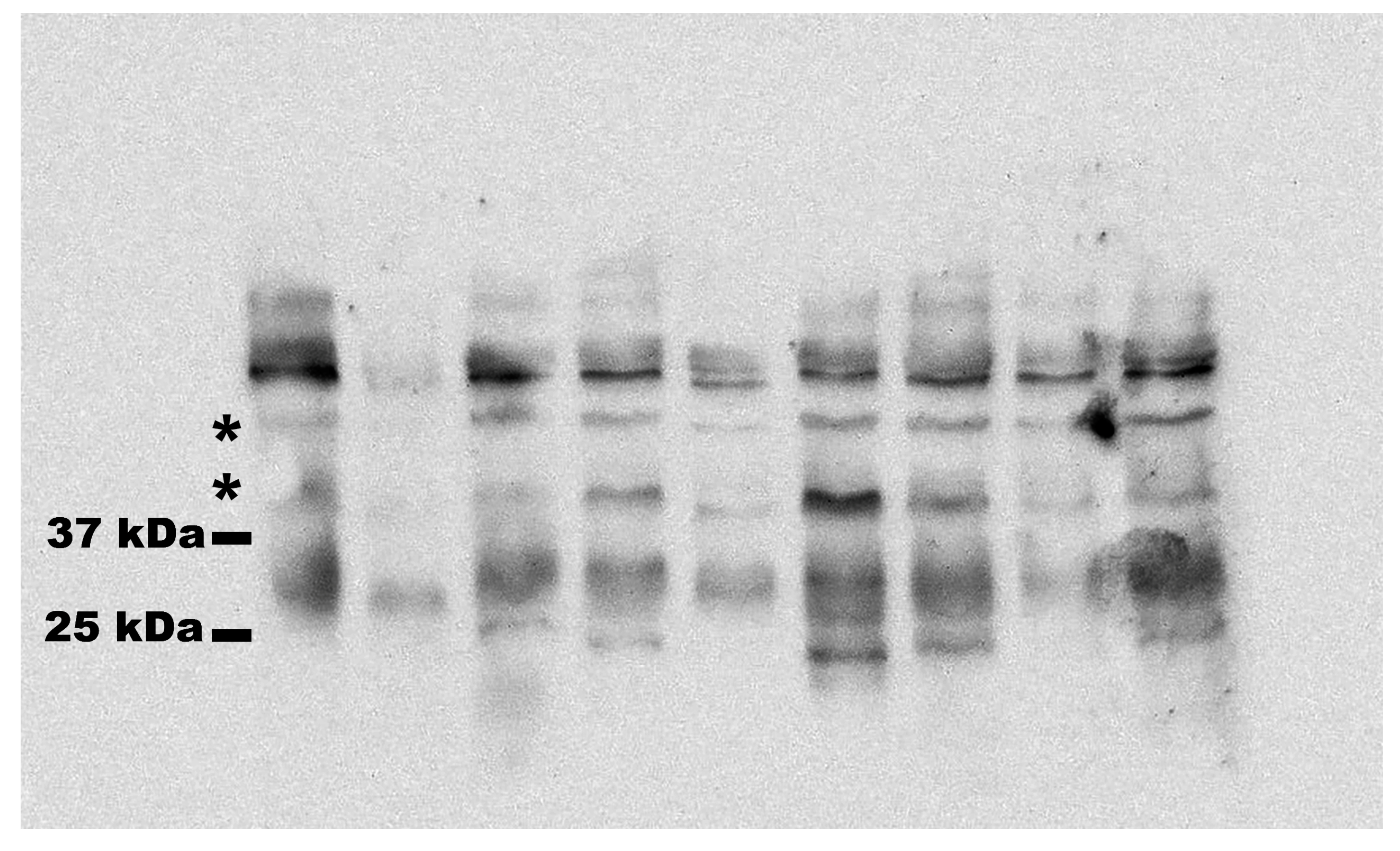 Cimb 46 00594 g0a2 Cimb 46 00594 g0a2