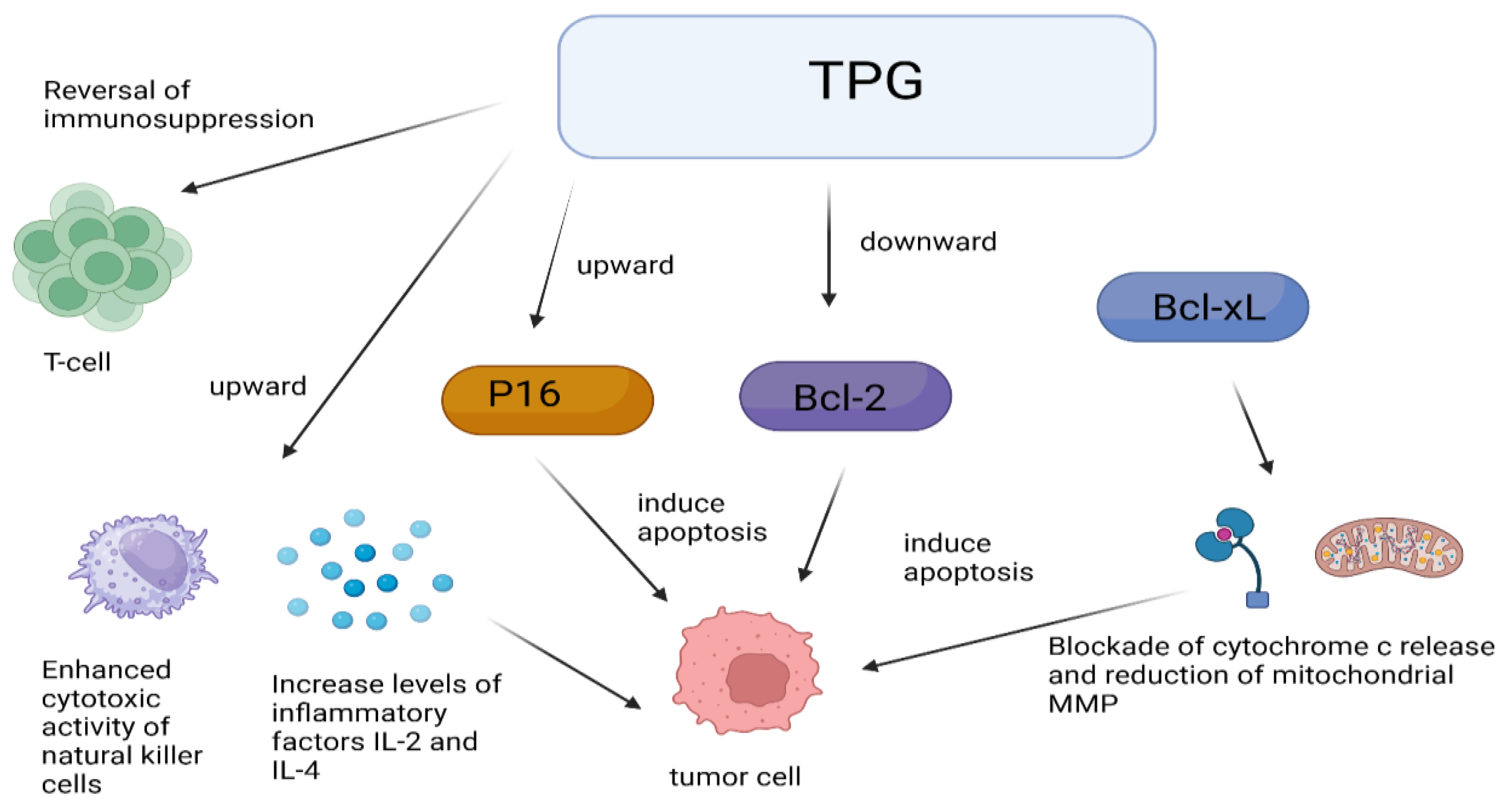Cimb 46 00601 g003 Cimb 46 00601 g003