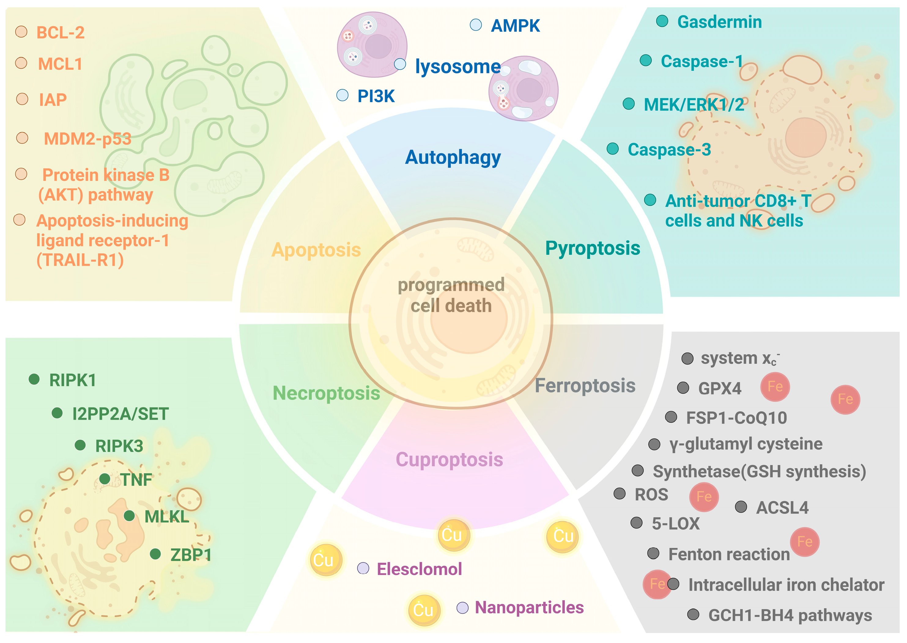 Cimb 46 00612 g006 Cimb 46 00612 g006