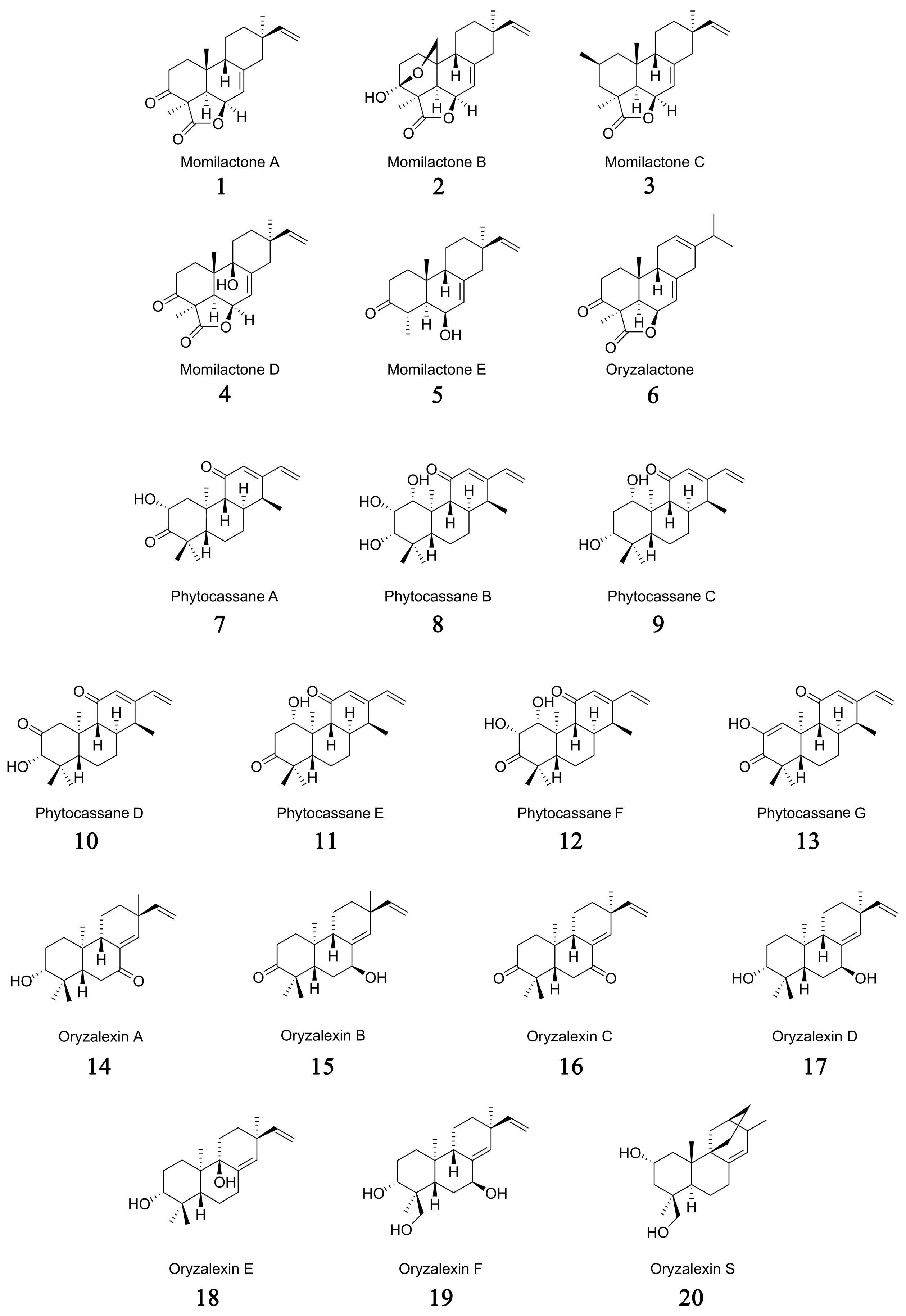 Cimb 46 00634 g001 Cimb 46 00634 g001