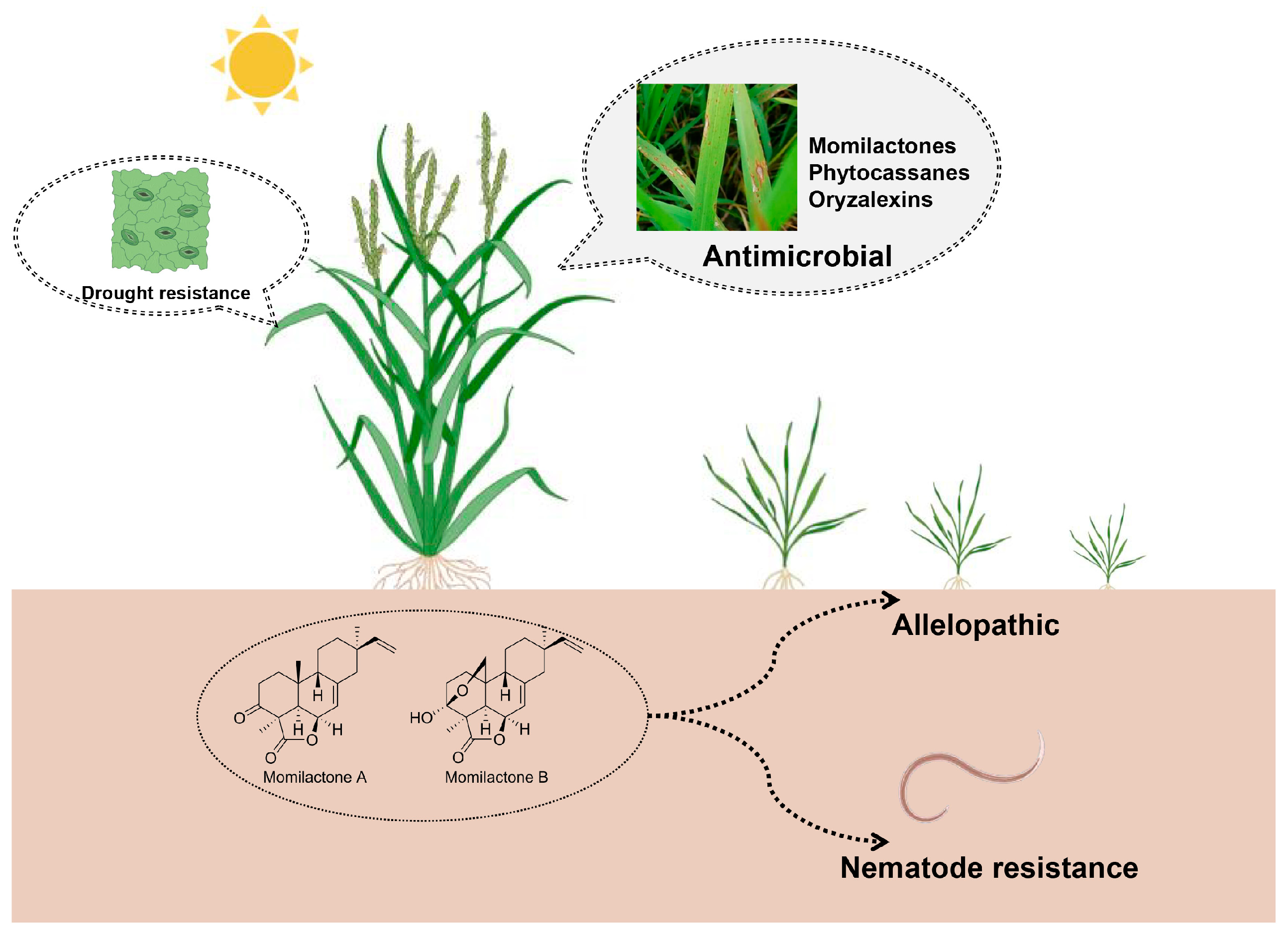 Cimb 46 00634 g002 Cimb 46 00634 g002