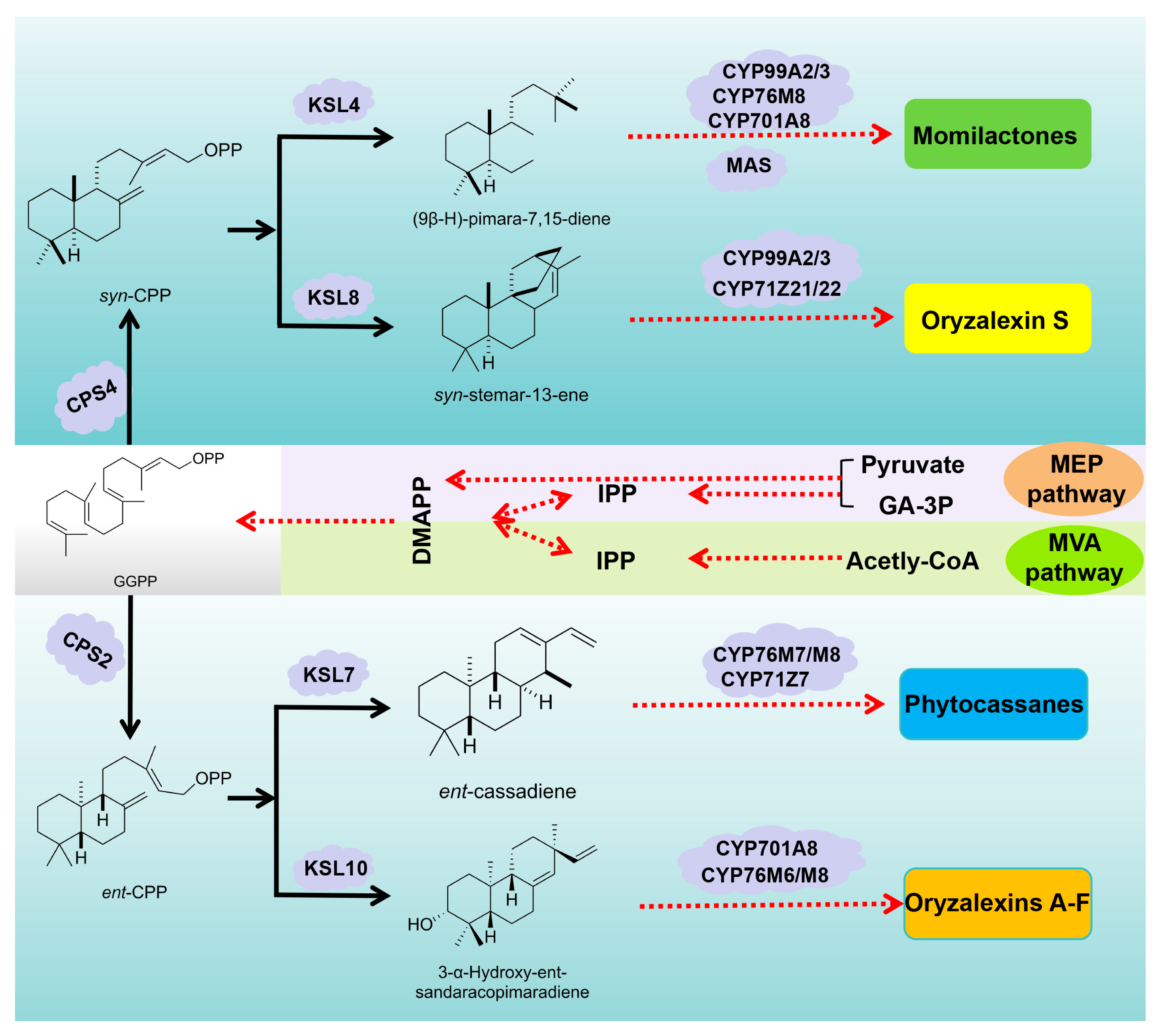 Cimb 46 00634 g003 Cimb 46 00634 g003