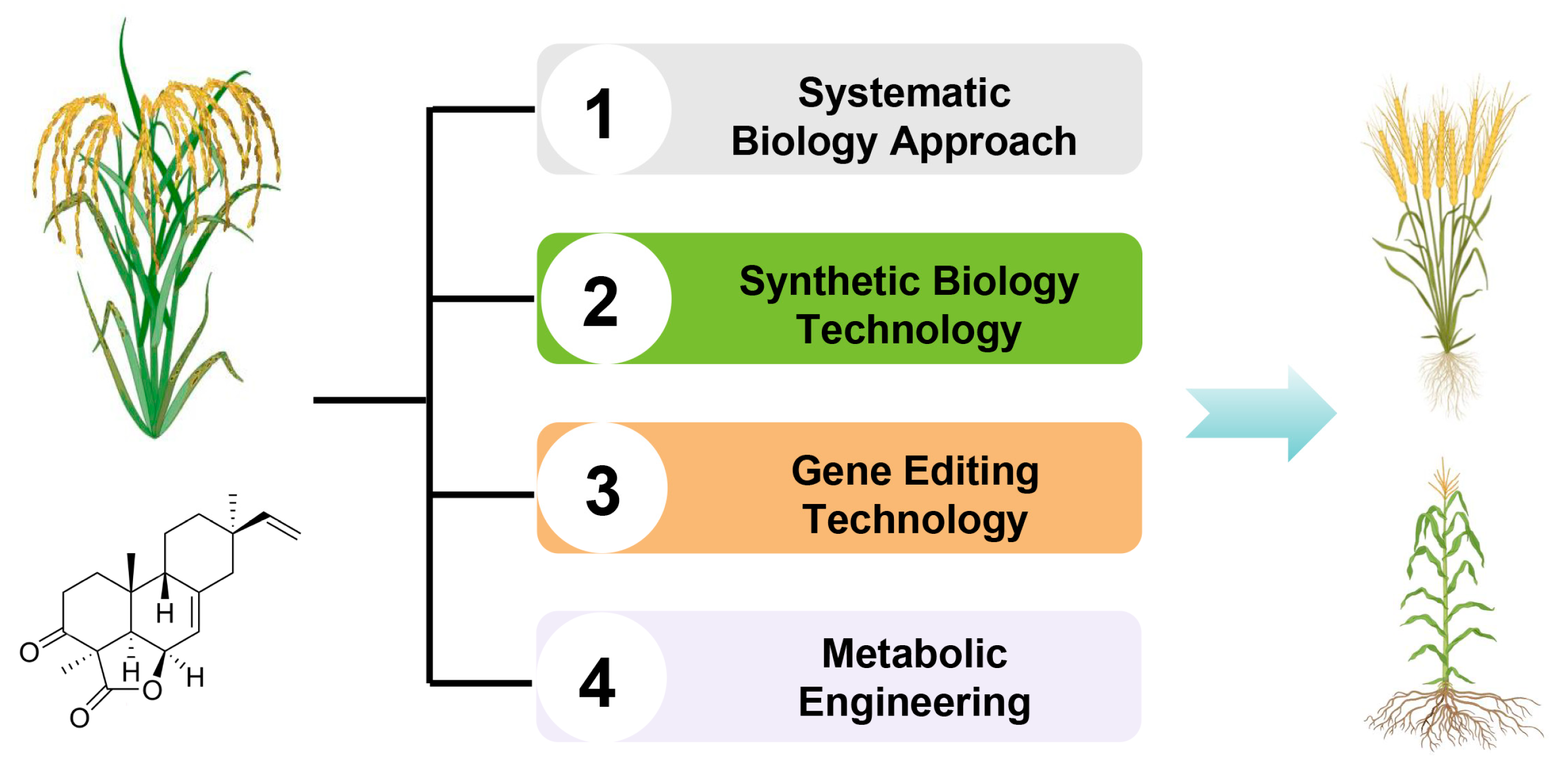 Cimb 46 00634 g005 Cimb 46 00634 g005