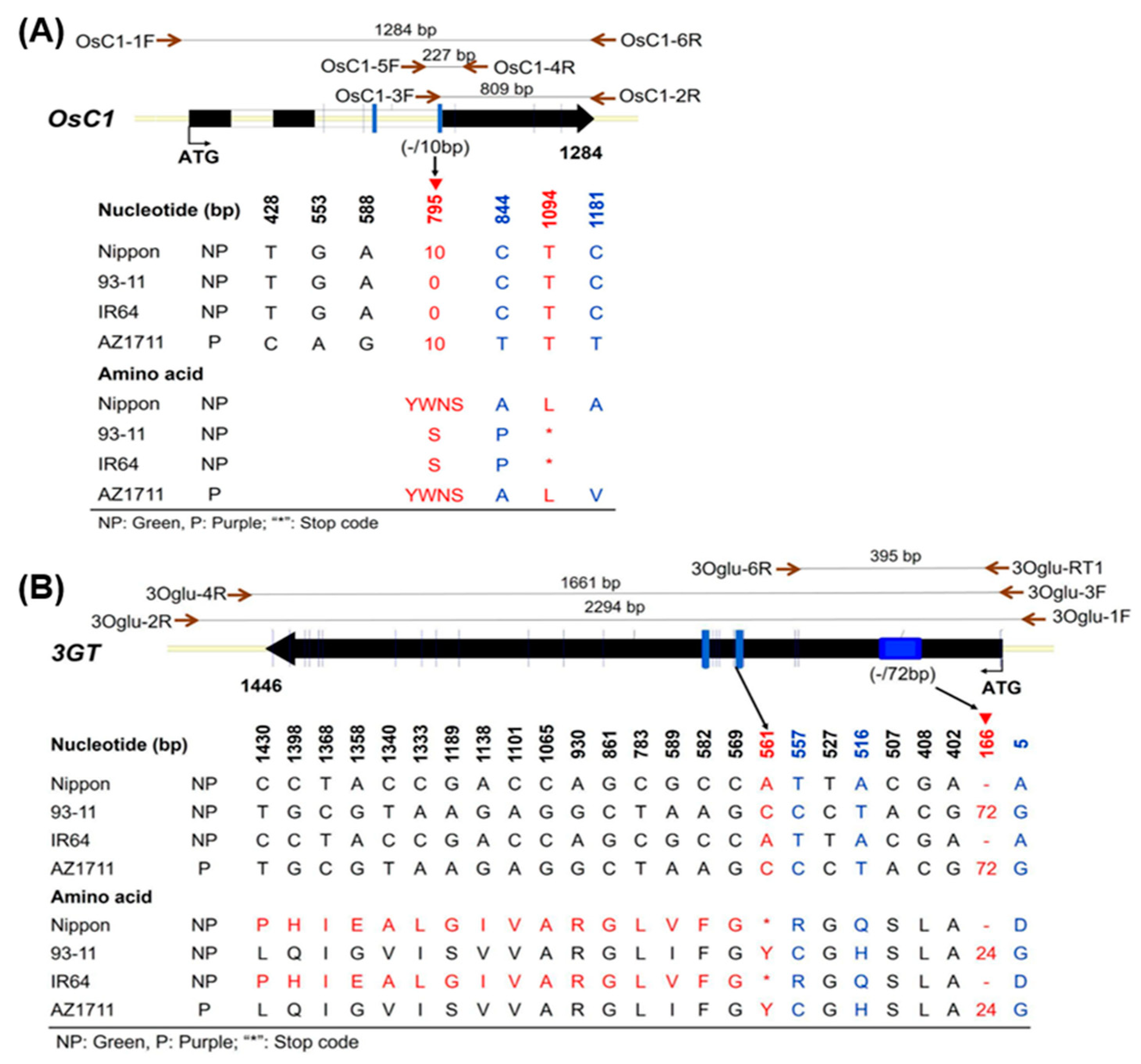 Cimb 46 00795 g003 Cimb 46 00795 g003