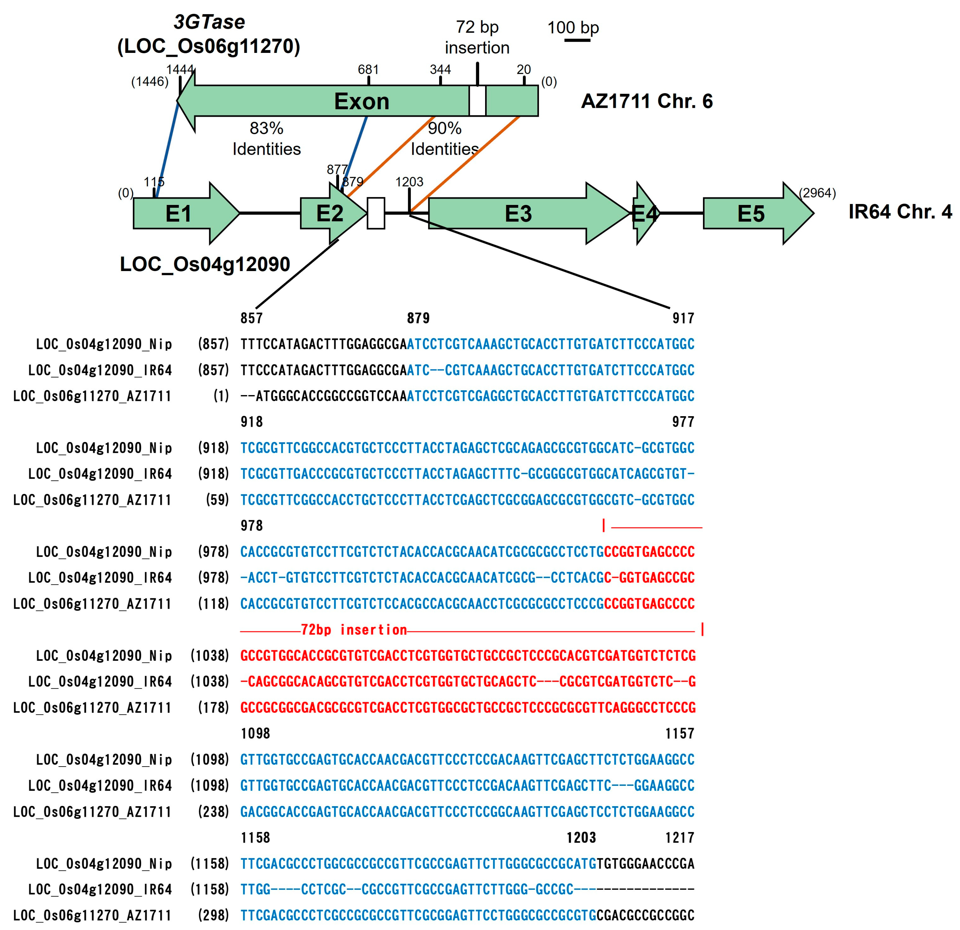 Cimb 46 00795 g006 Cimb 46 00795 g006
