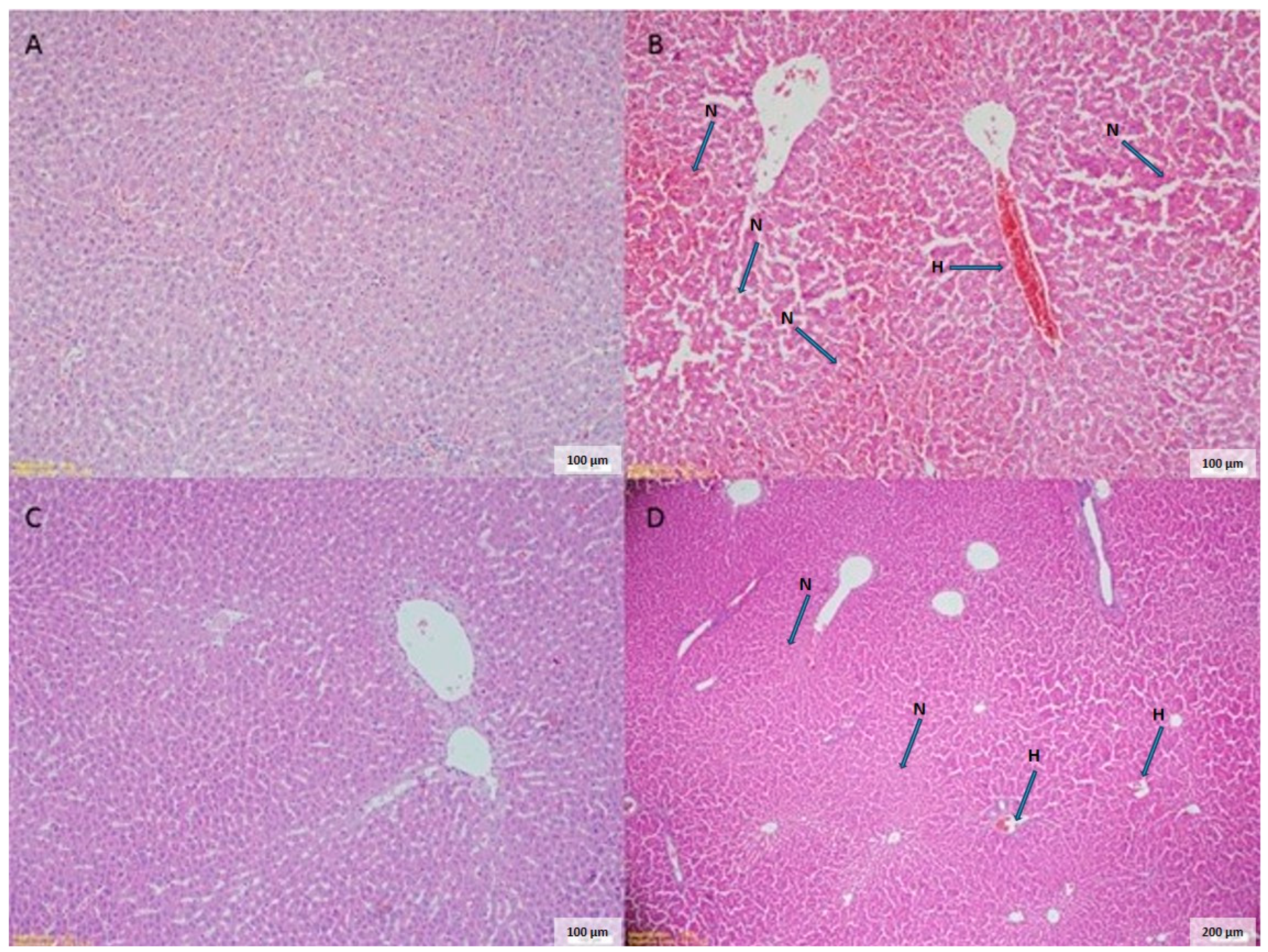 Cimb 46 00810 g001 Cimb 46 00810 g001