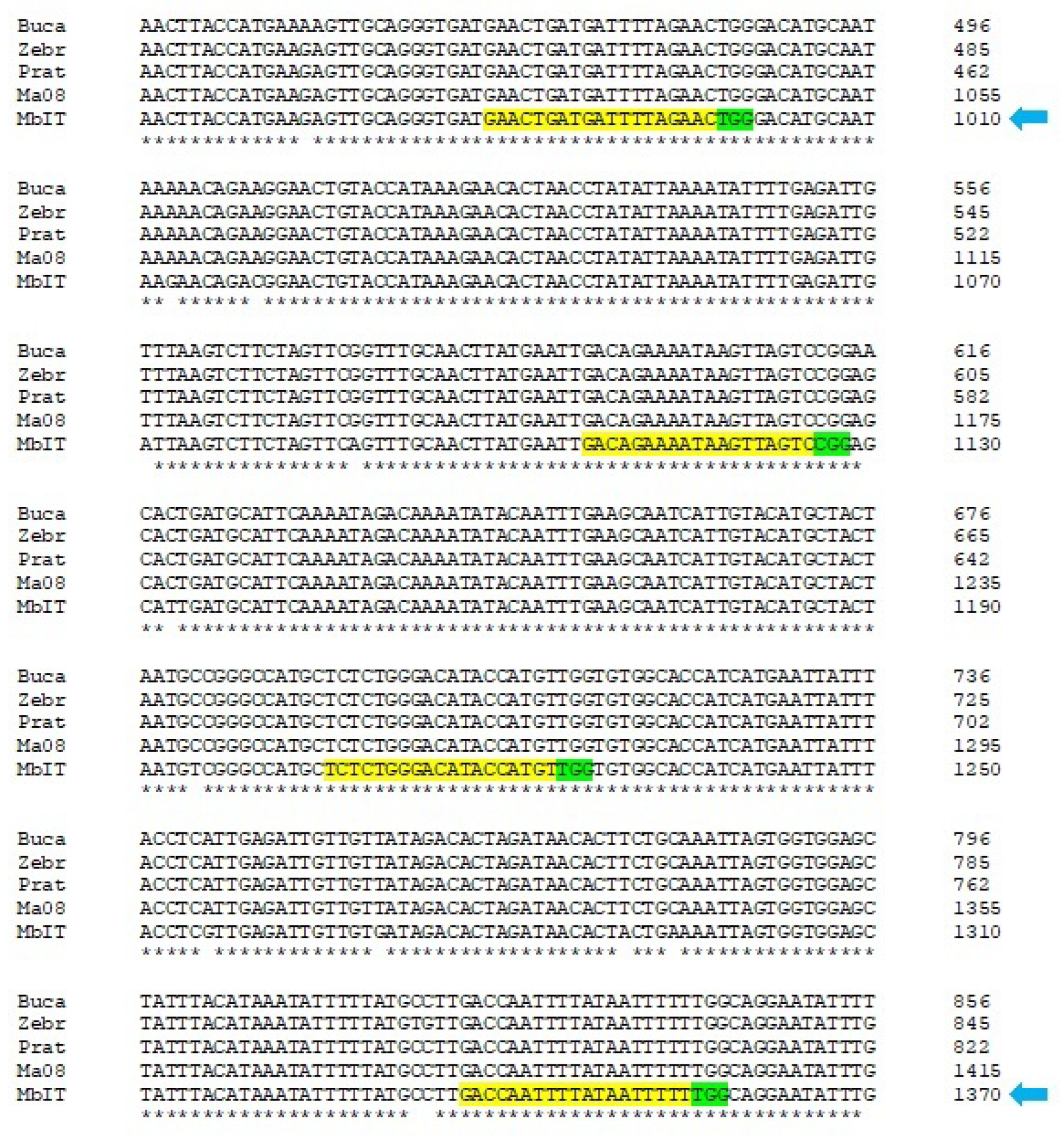 Khám Phá https//cffresearch.org/ - Nền Tảng Nghiên Cứu Đột Phá Vì Cộng Đồng