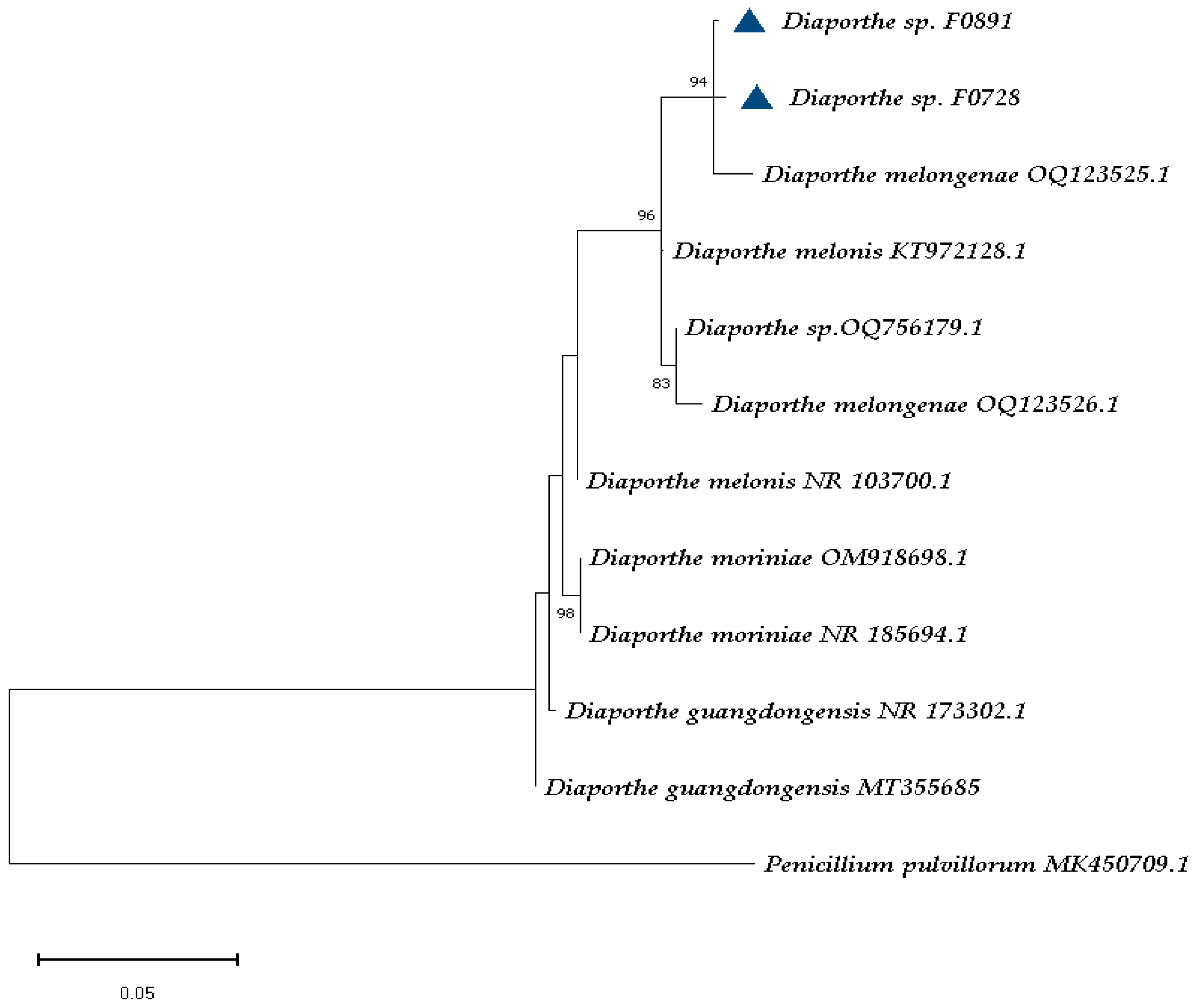 Cimb 47 00053 g002 Cimb 47 00053 g002