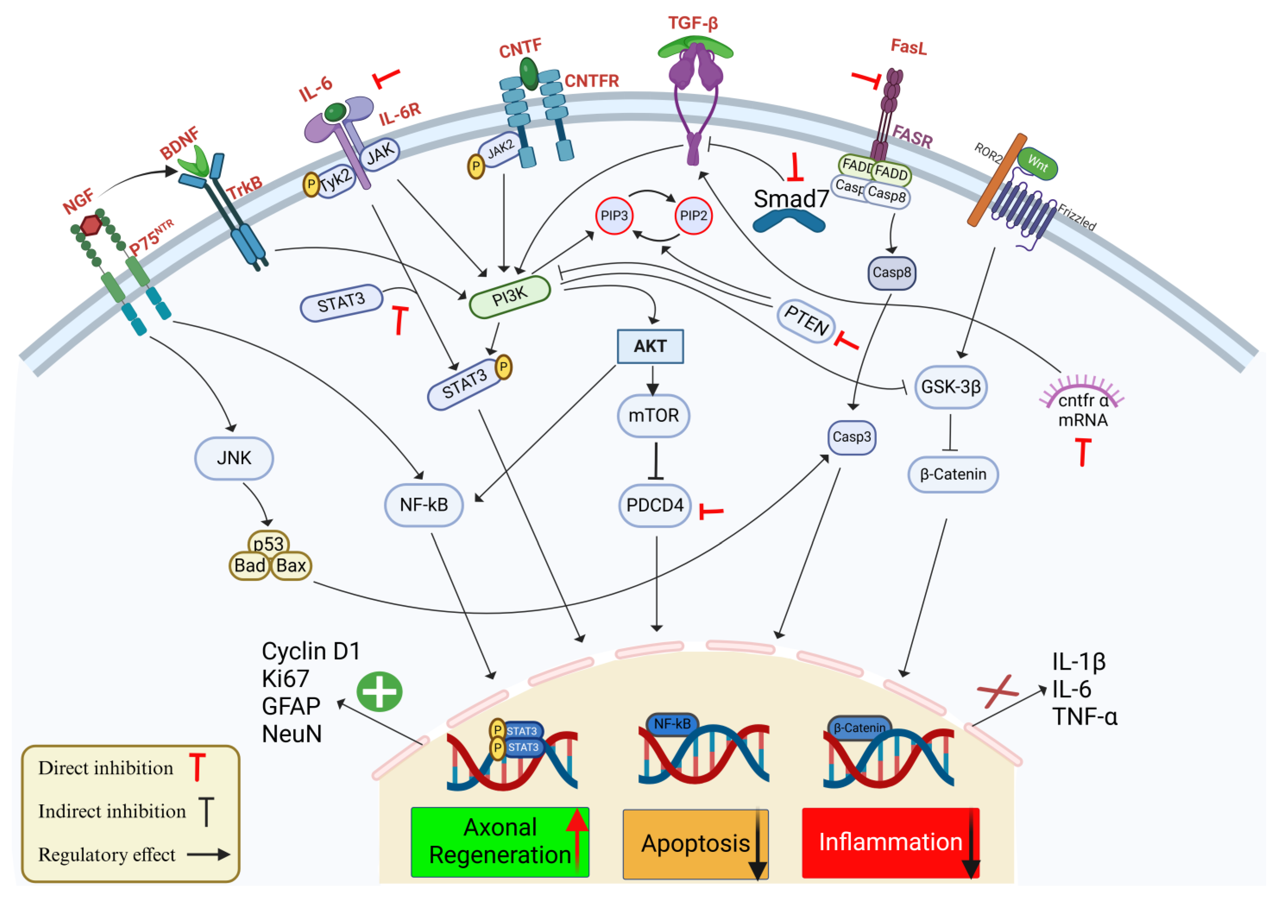 Cimb 47 00070 g001 Cimb 47 00070 g001