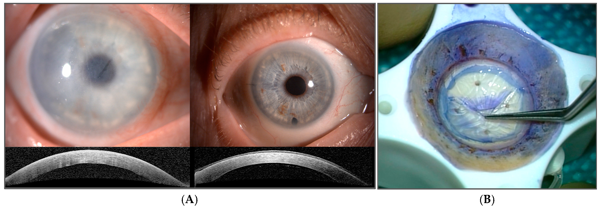 Cimb 47 00135 g001 Cimb 47 00135 g001