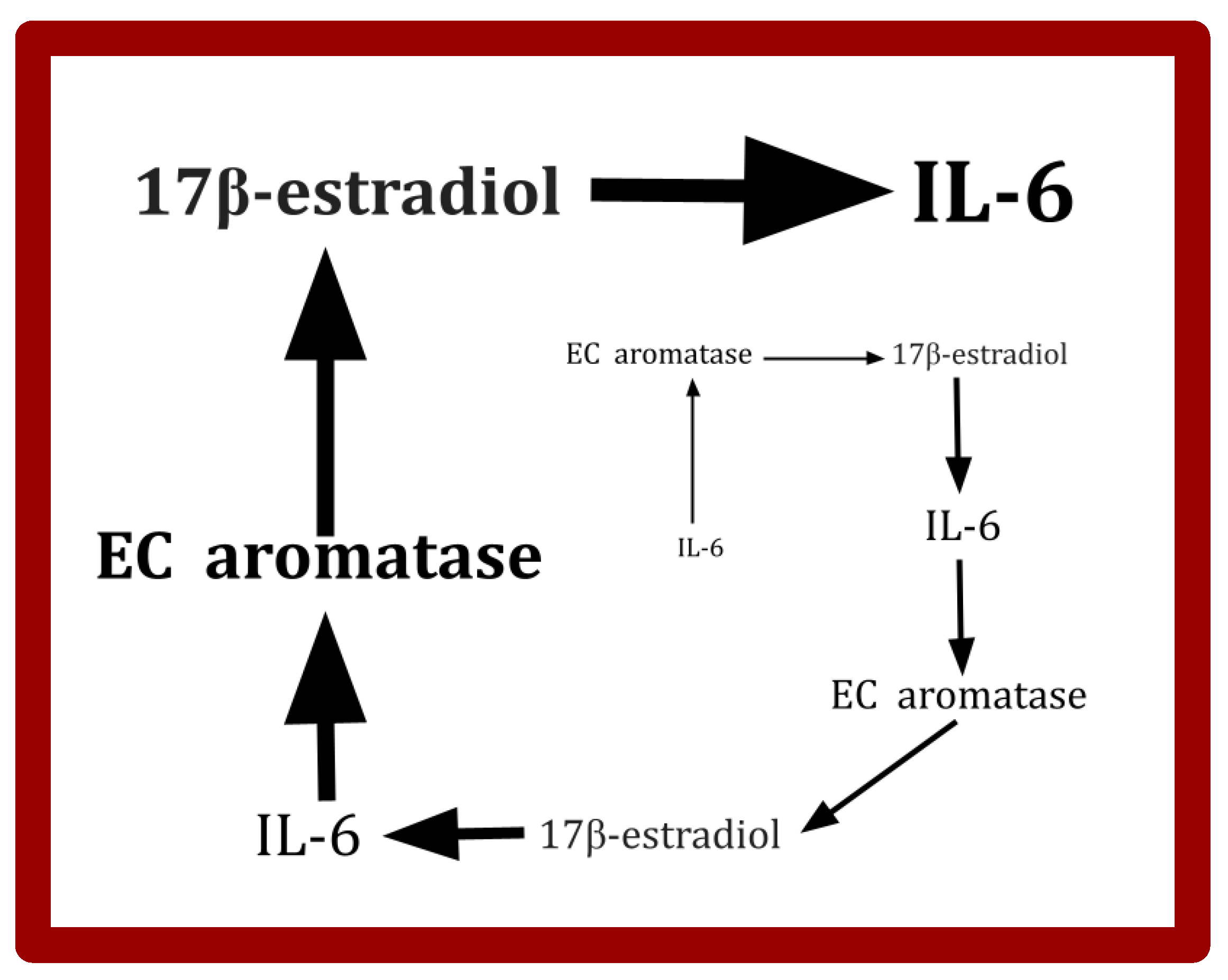 Cimb 47 00153 g003 Cimb 47 00153 g003