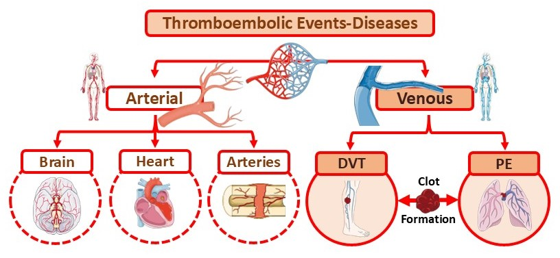 Cimb 47 00291 g002 Cimb 47 00291 g002