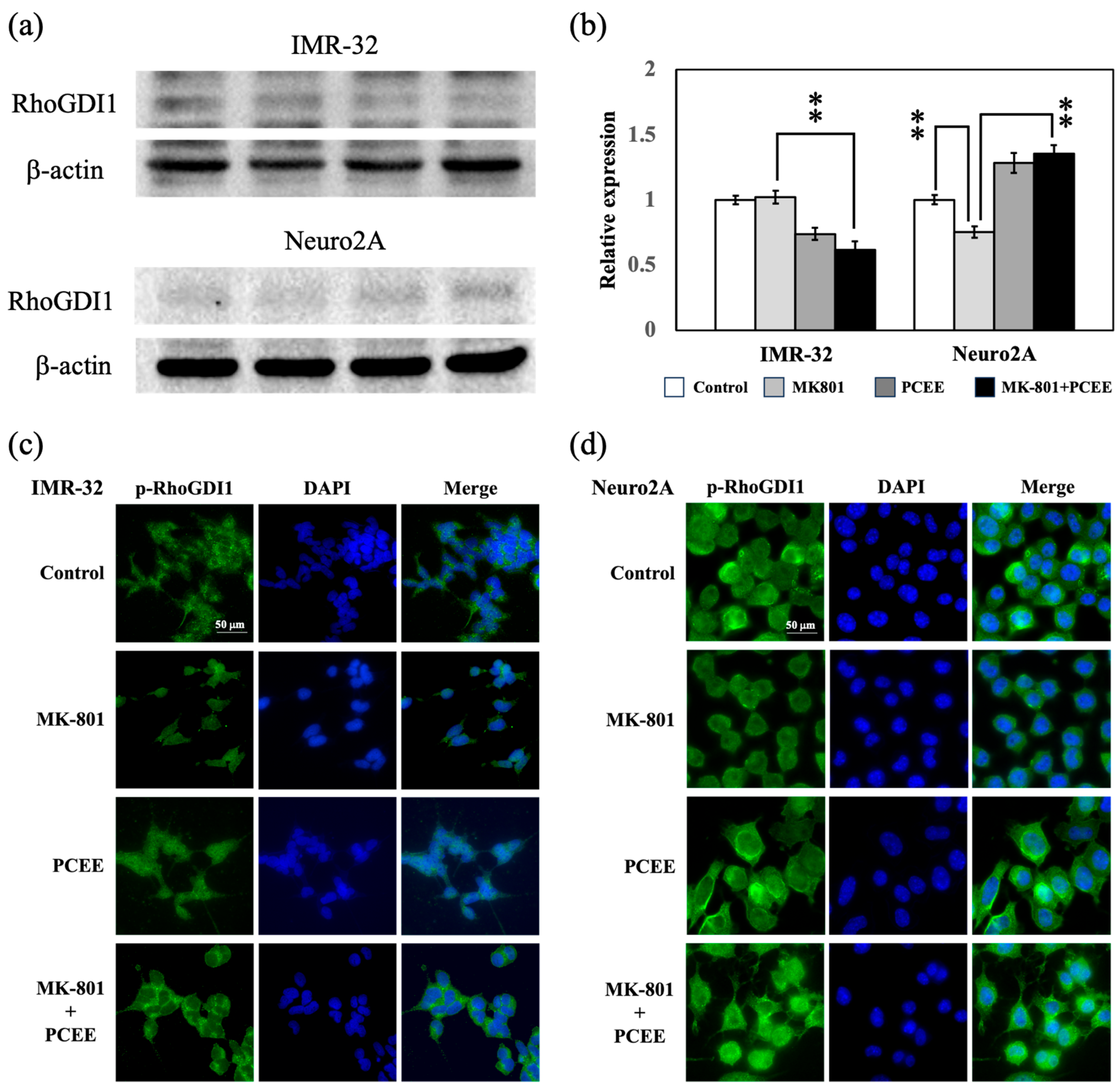 Cimb 47 00312 g006 Cimb 47 00312 g006