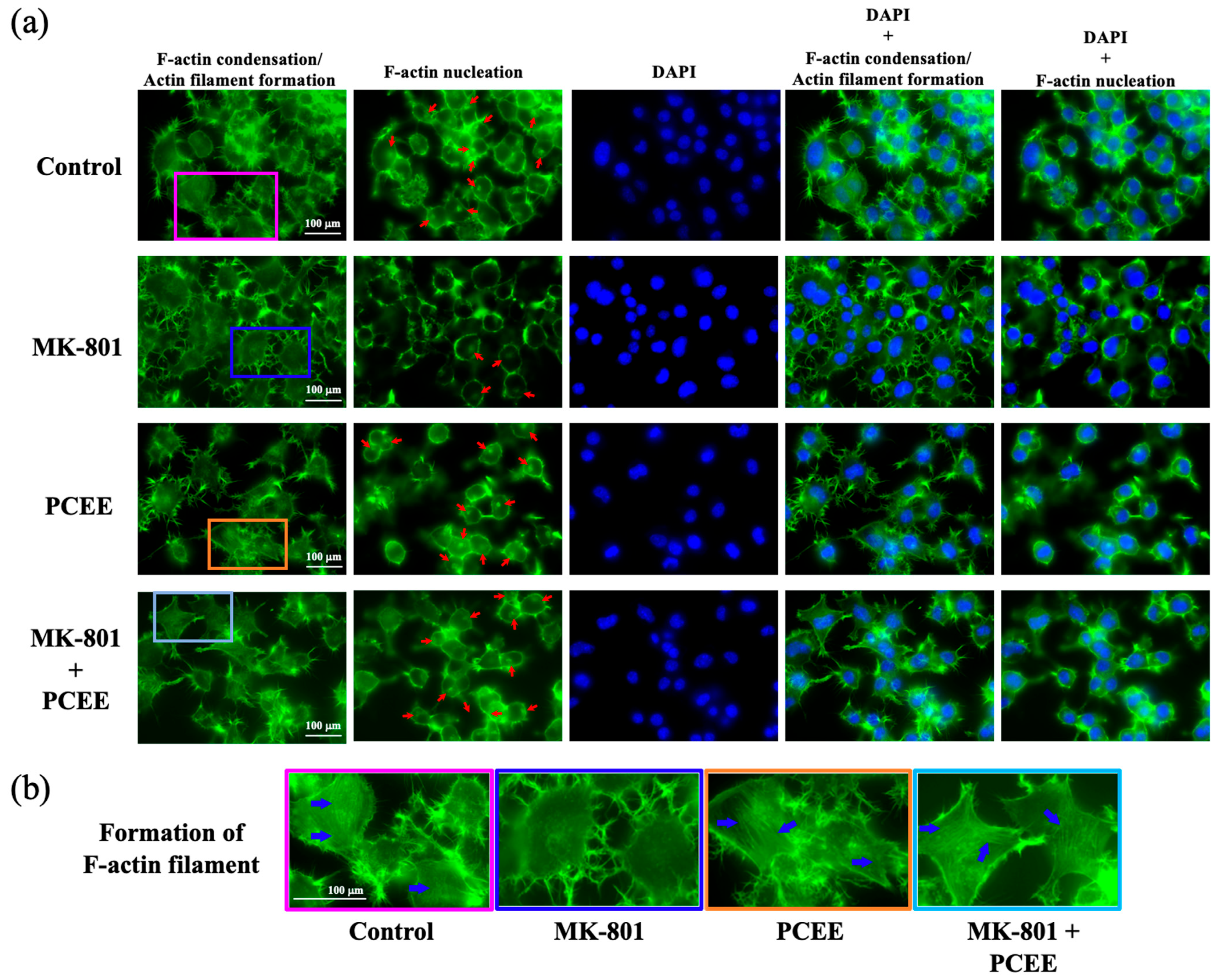 Cimb 47 00312 g010 Cimb 47 00312 g010