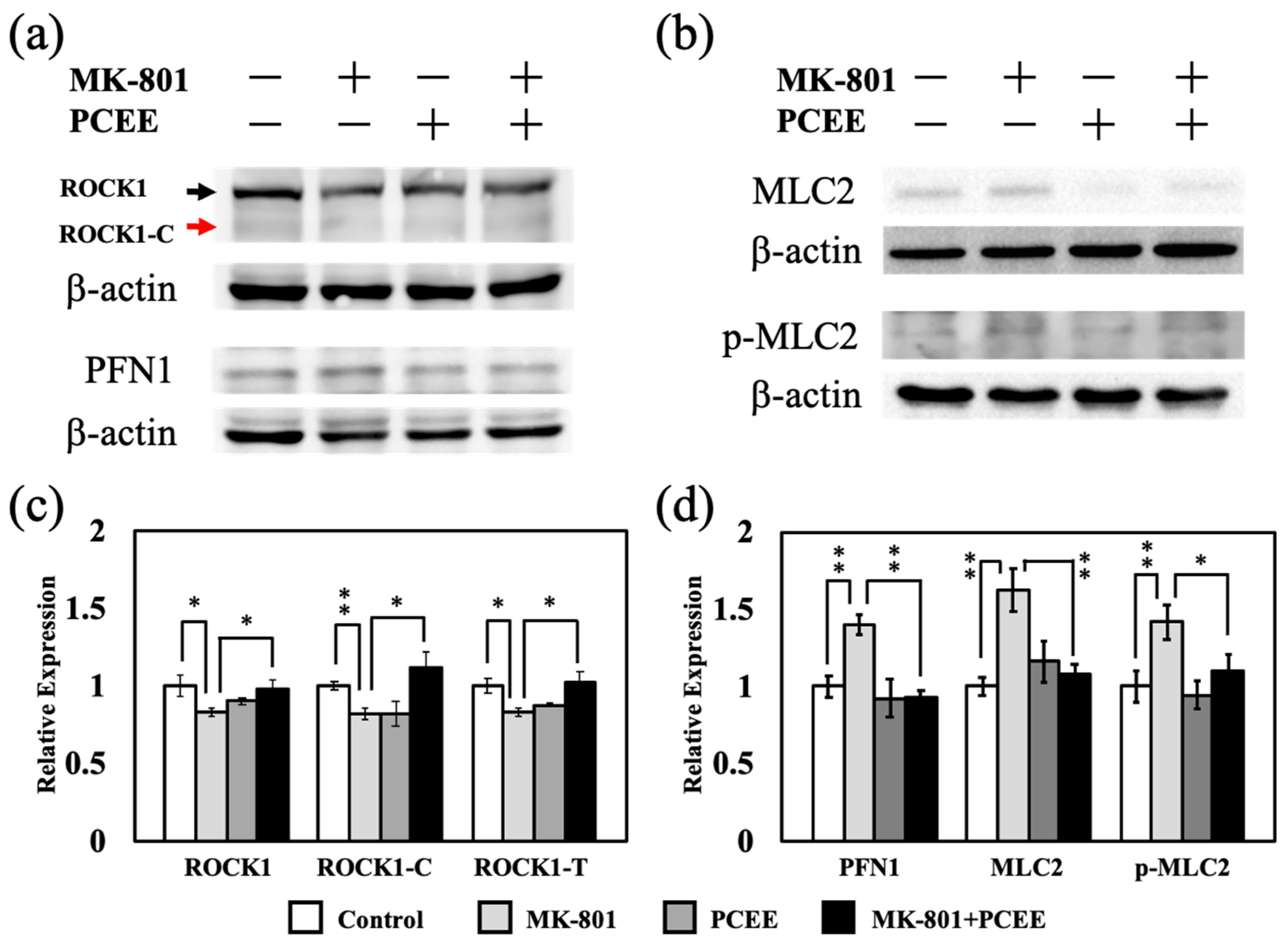 Cimb 47 00312 g013 Cimb 47 00312 g013