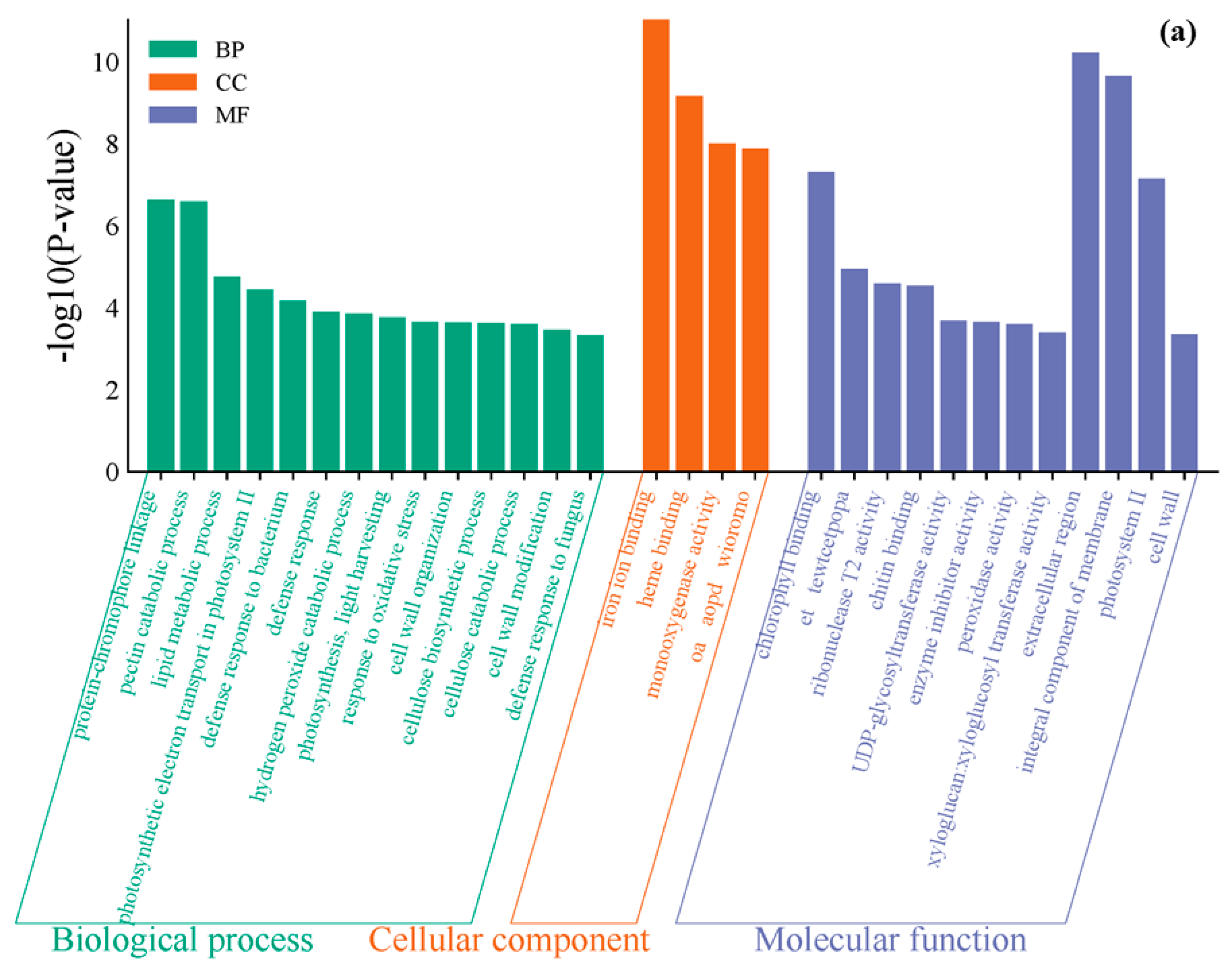 Cimb 47 00313 g004a Cimb 47 00313 g004a