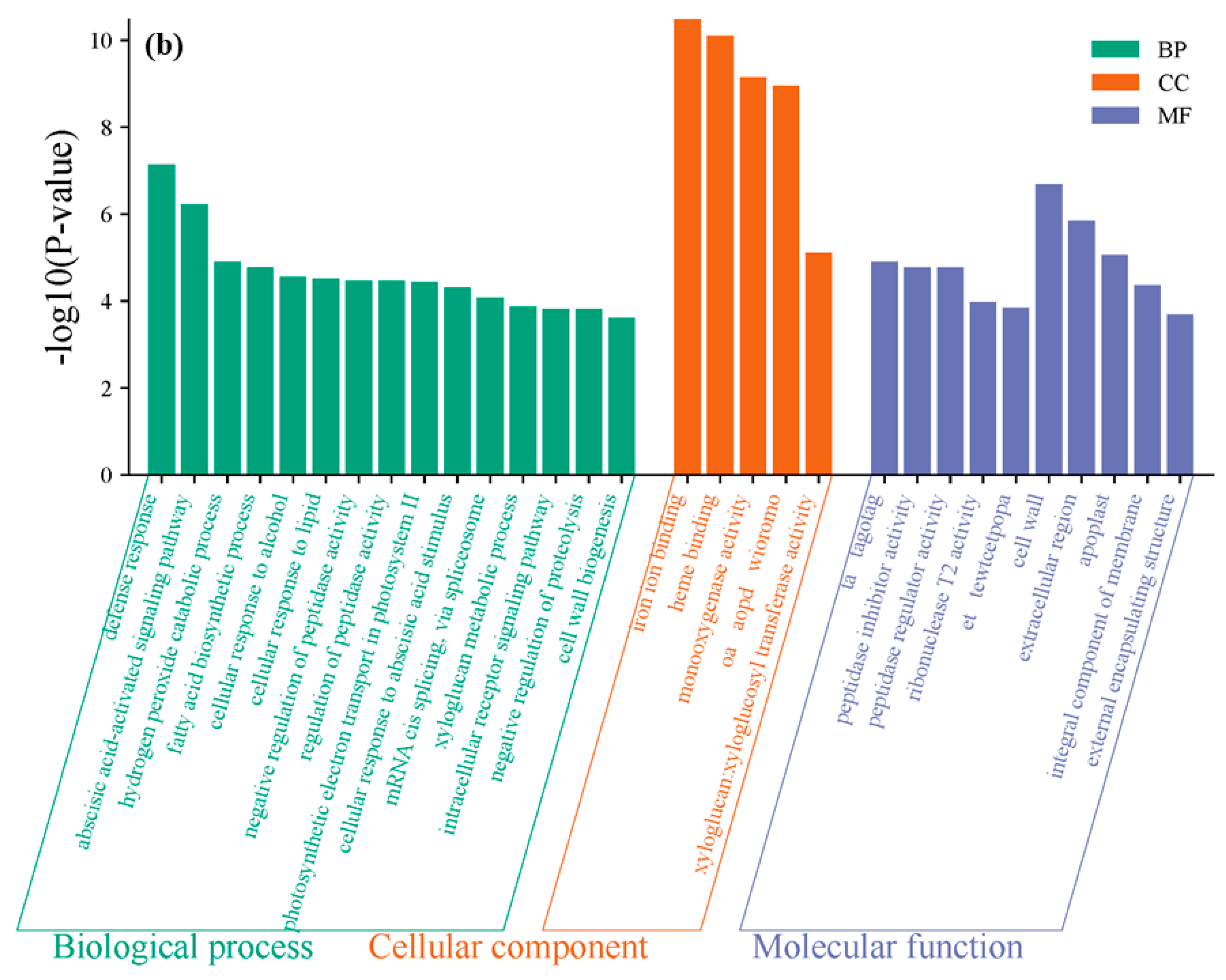 Cimb 47 00313 g004b Cimb 47 00313 g004b