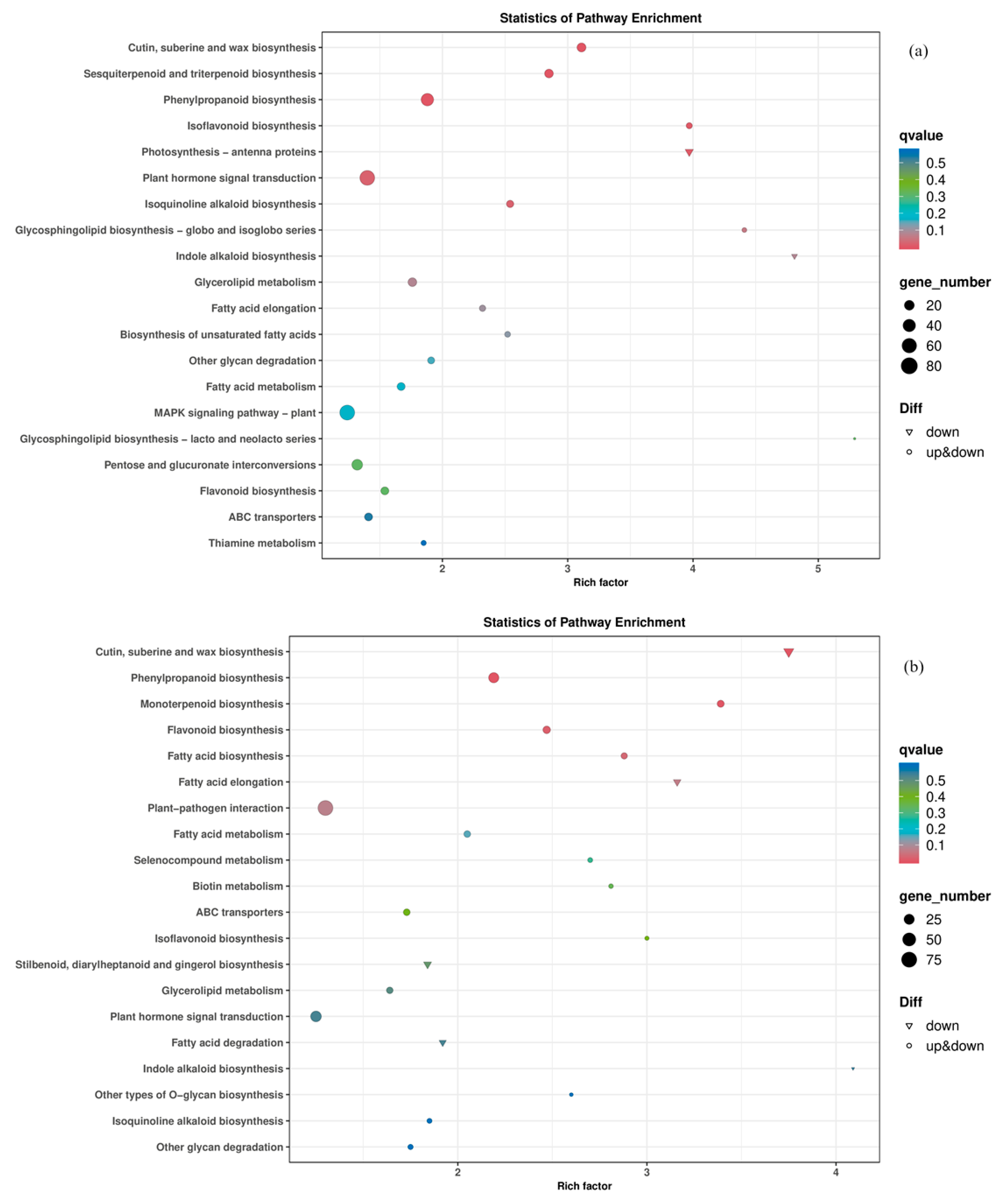 Cimb 47 00313 g006 Cimb 47 00313 g006