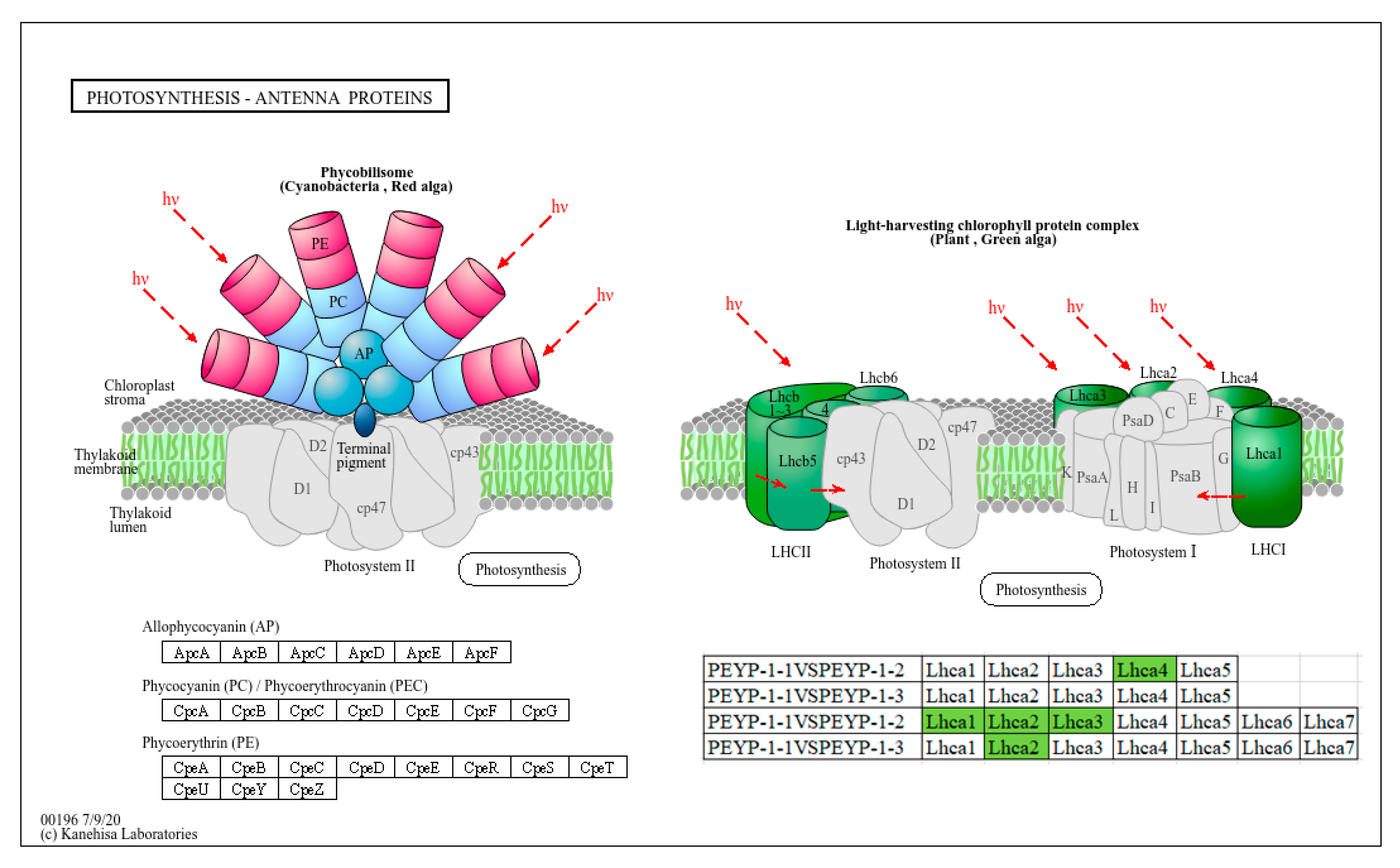Cimb 47 00313 g007 Cimb 47 00313 g007