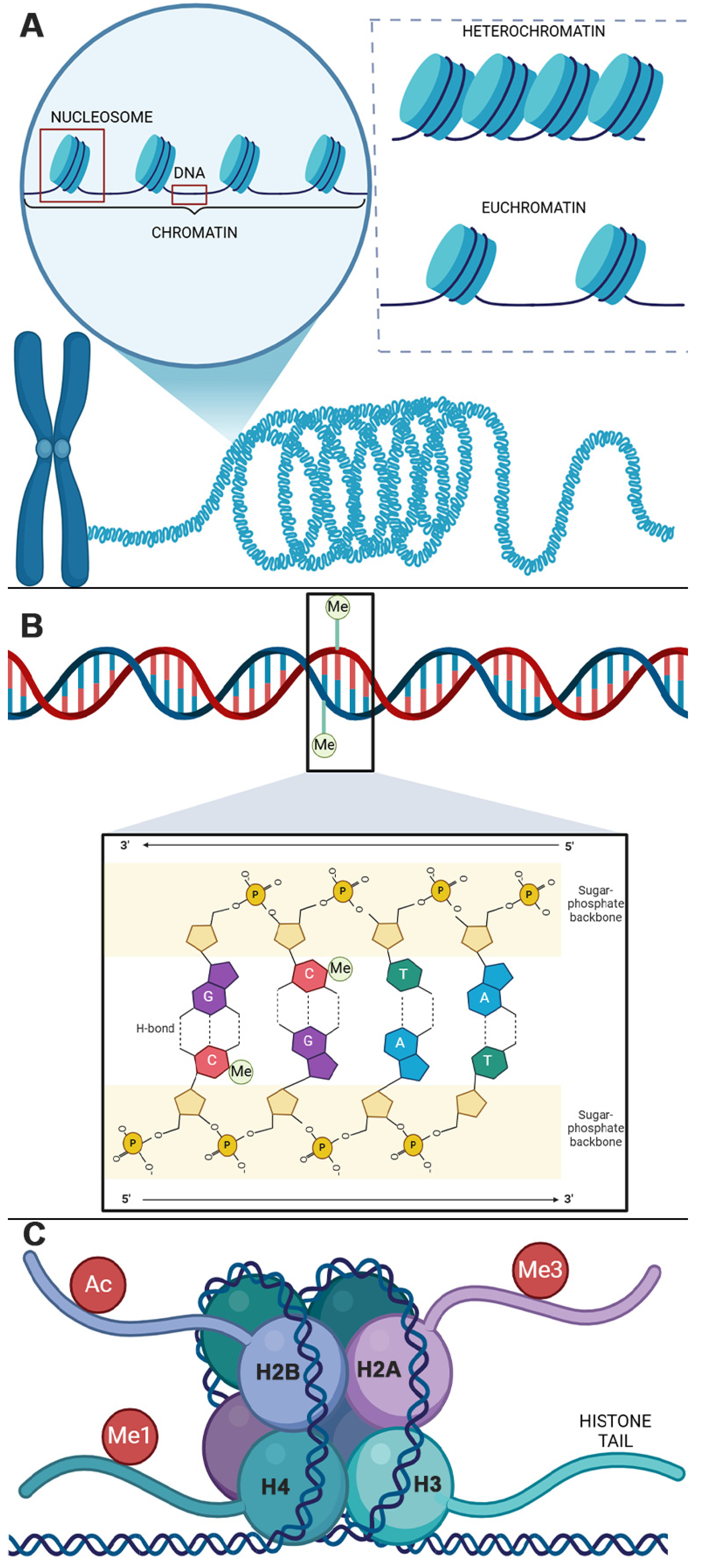 Cimb 47 00323 g001 Cimb 47 00323 g001
