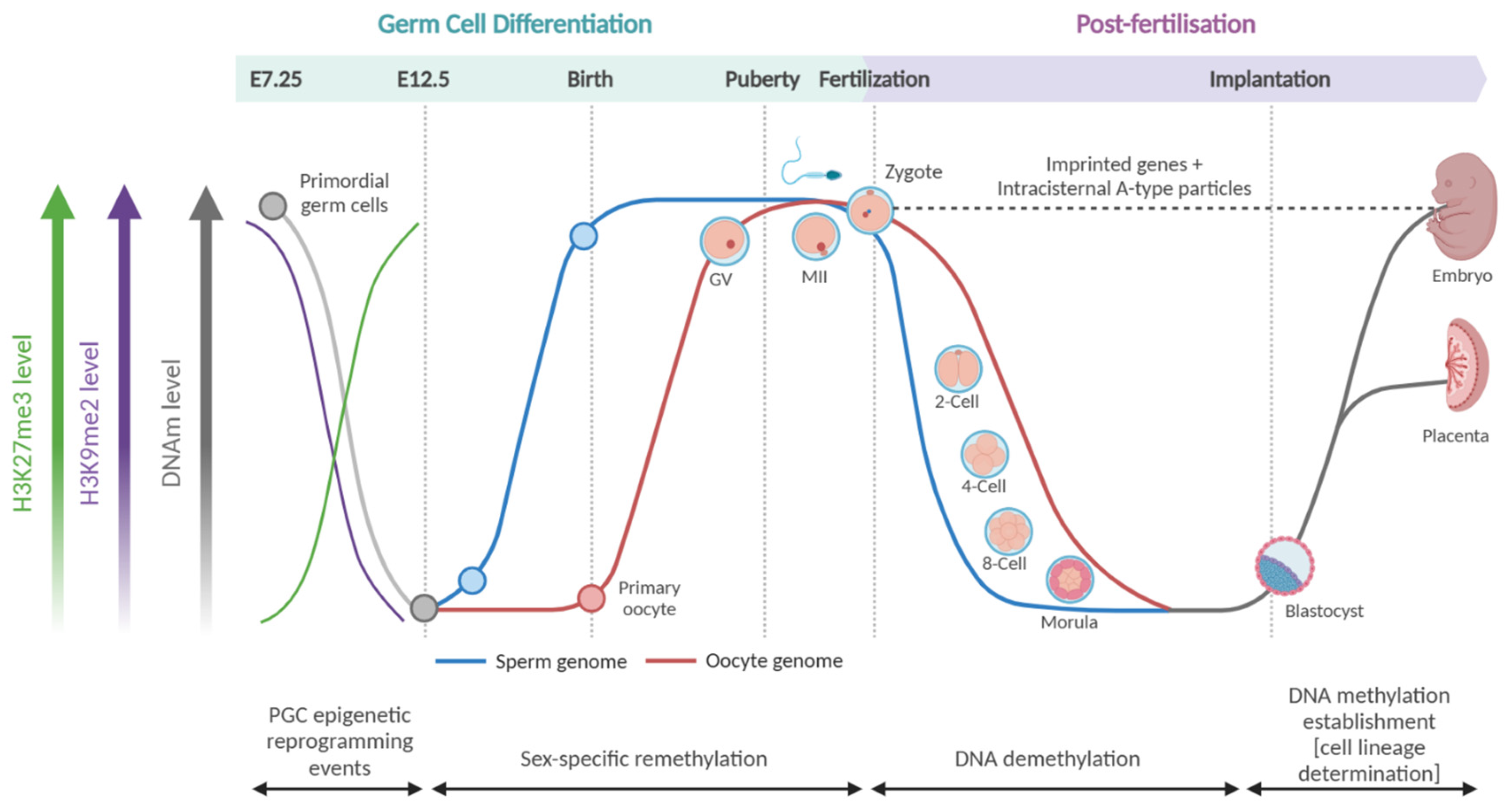 Cimb 47 00323 g003 Cimb 47 00323 g003