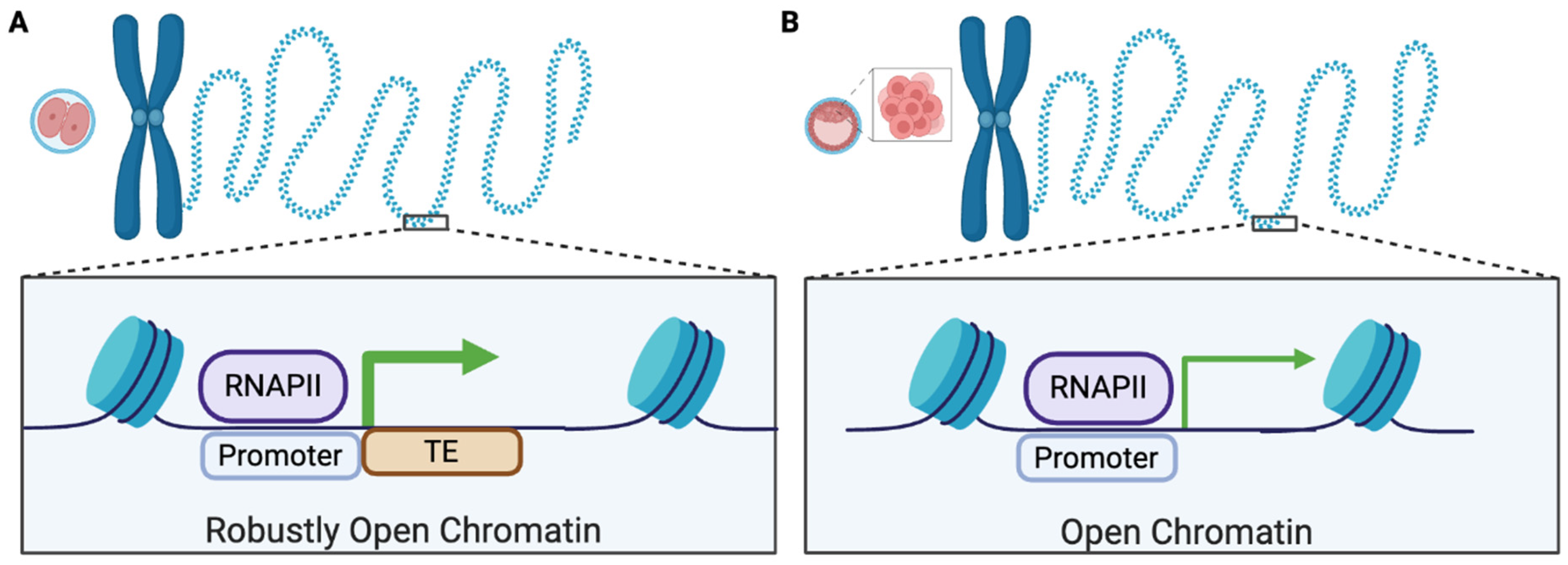 Cimb 47 00323 g004 Cimb 47 00323 g004