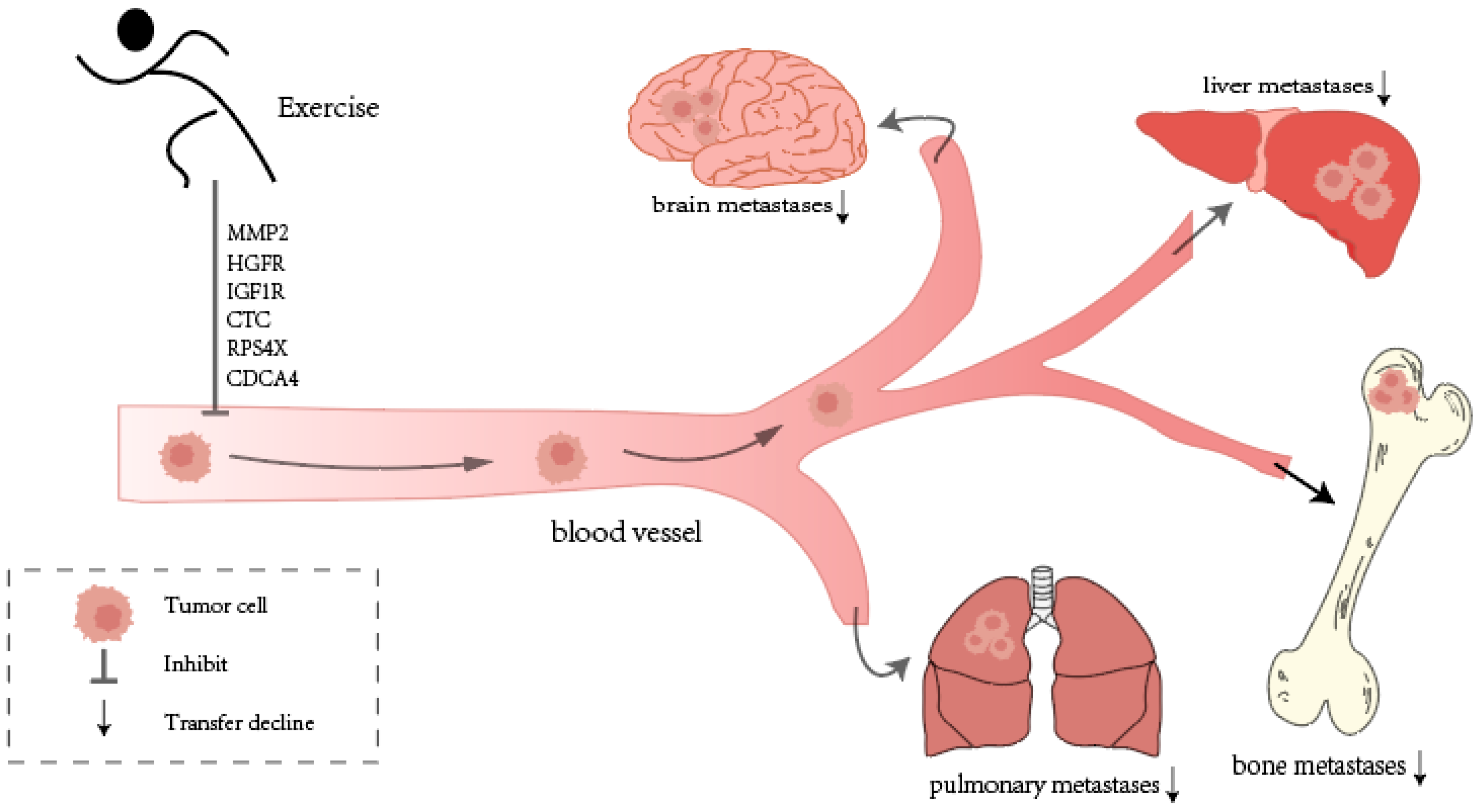 Cimb 47 00374 g002 Cimb 47 00374 g002