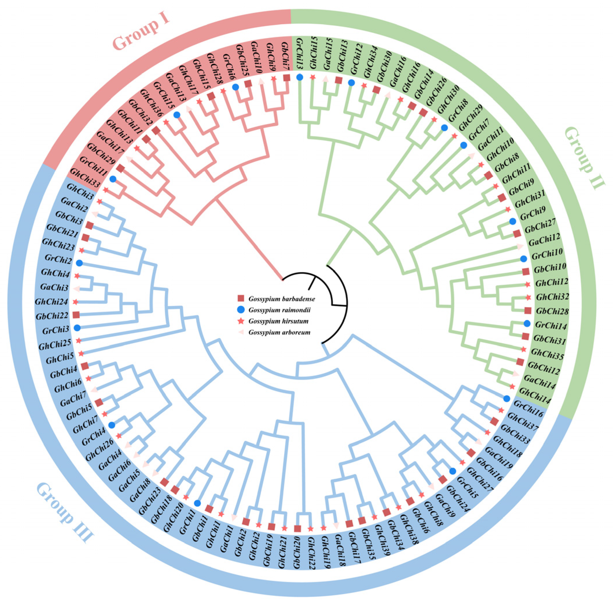 Cimb 47 00633 g002 Cimb 47 00633 g002