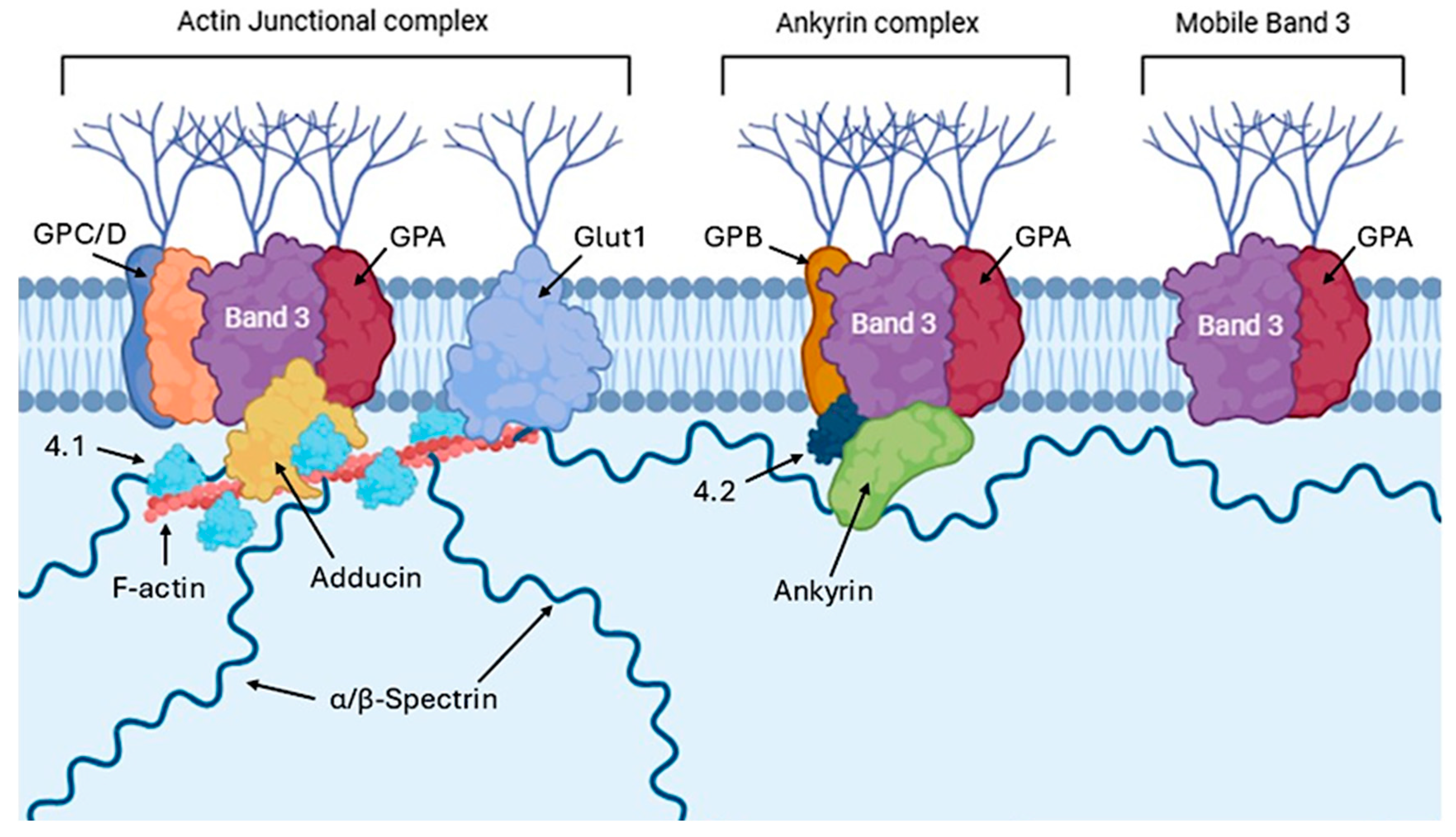 Cimb 47 00655 g002 Cimb 47 00655 g002