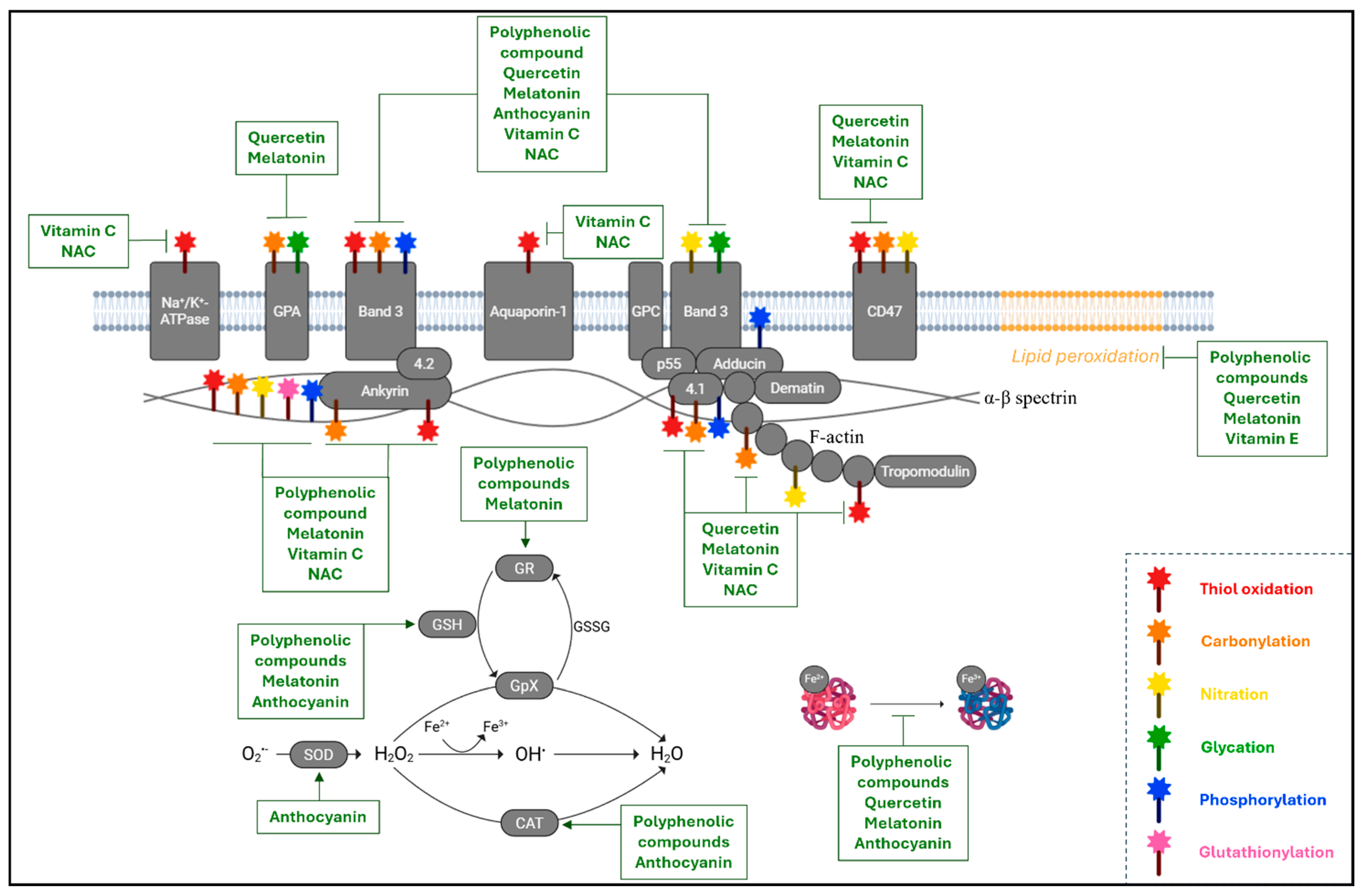 Cimb 47 00655 g004 Cimb 47 00655 g004