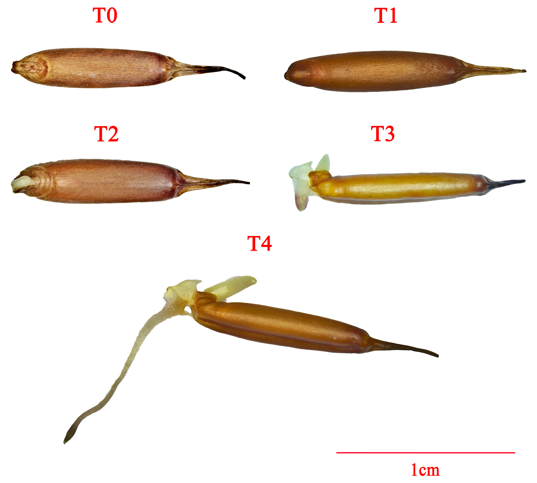 Cimb 47 00686 g001 Cimb 47 00686 g001