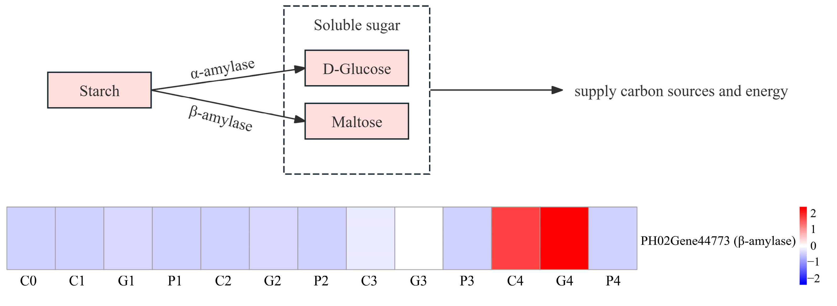 Cimb 47 00686 g009 Cimb 47 00686 g009