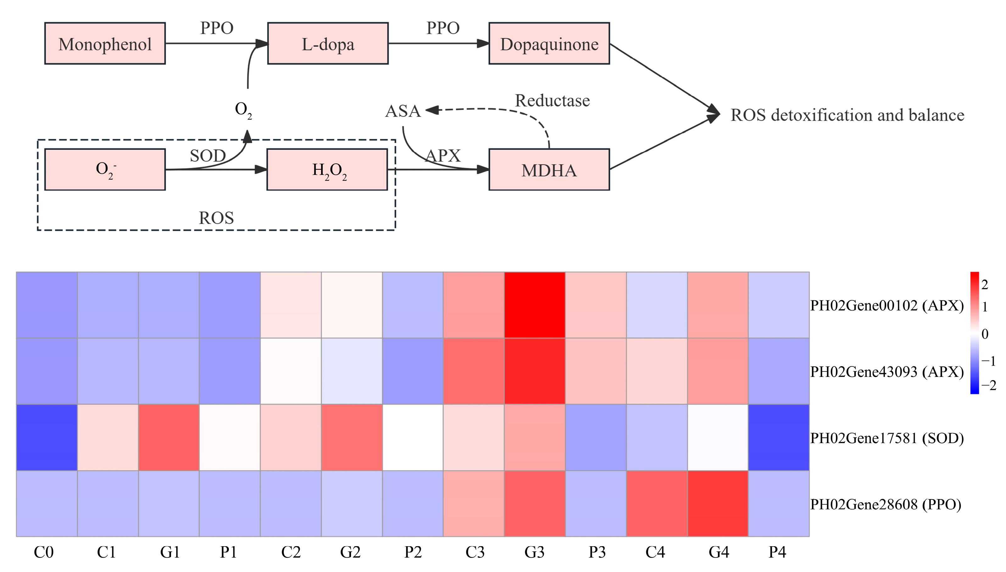 Cimb 47 00686 g010 Cimb 47 00686 g010