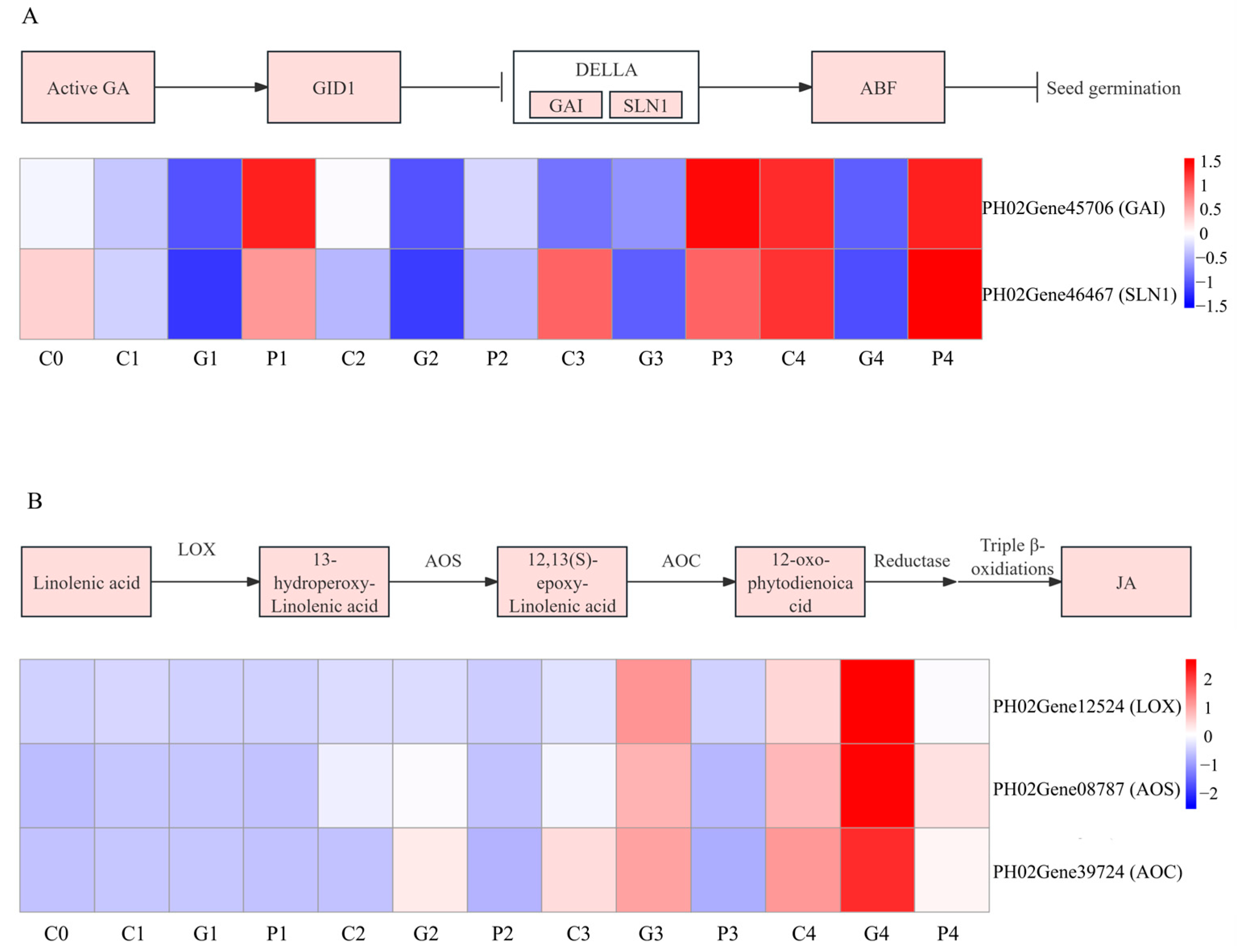 Cimb 47 00686 g011 Cimb 47 00686 g011