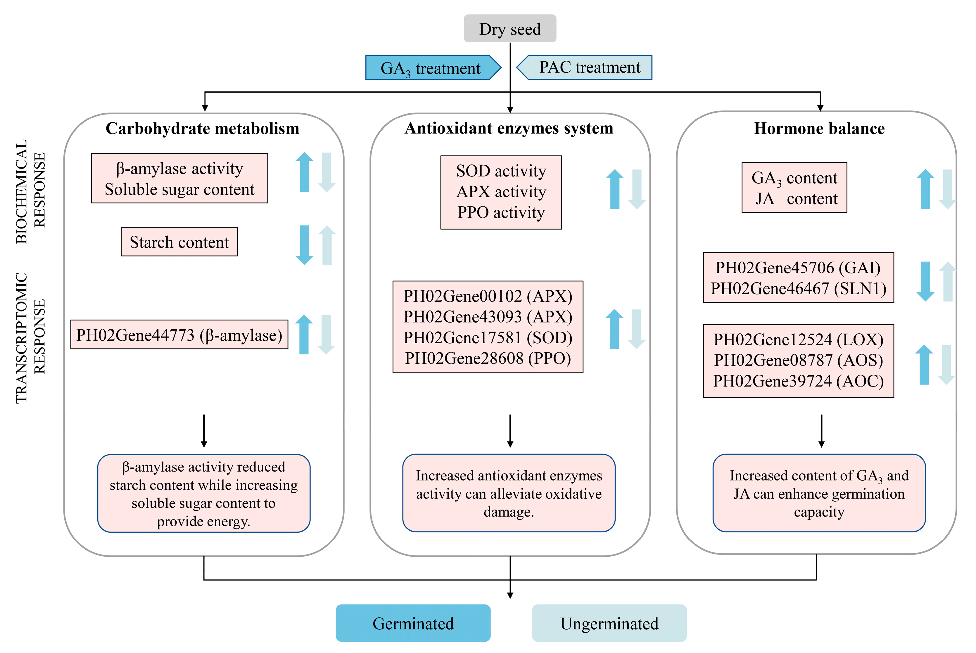 Cimb 47 00686 g012 Cimb 47 00686 g012