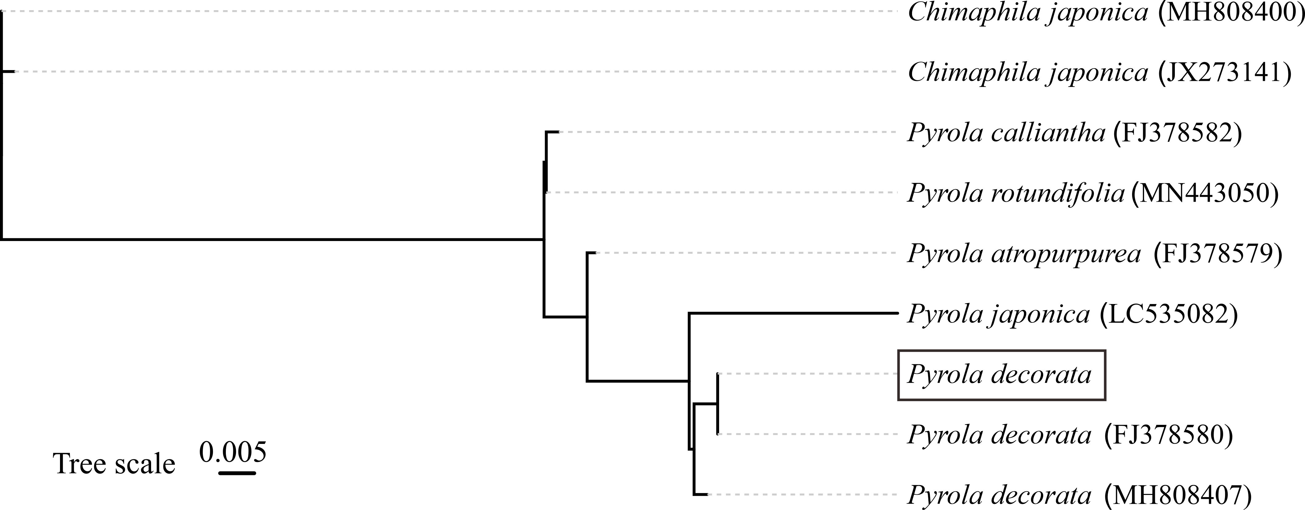 Cimb 47 00688 g002 Cimb 47 00688 g002