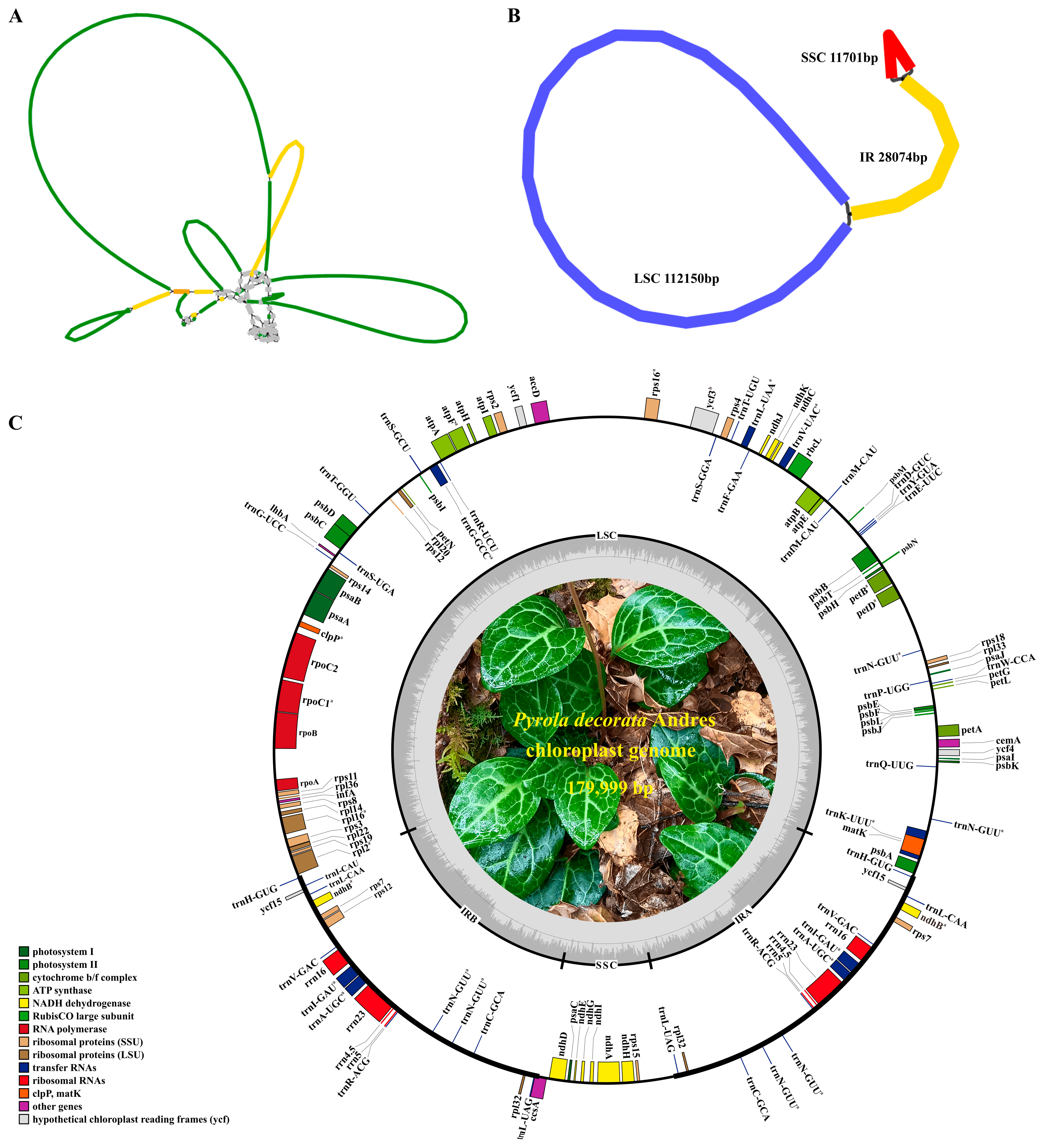 Cimb 47 00688 g003 Cimb 47 00688 g003