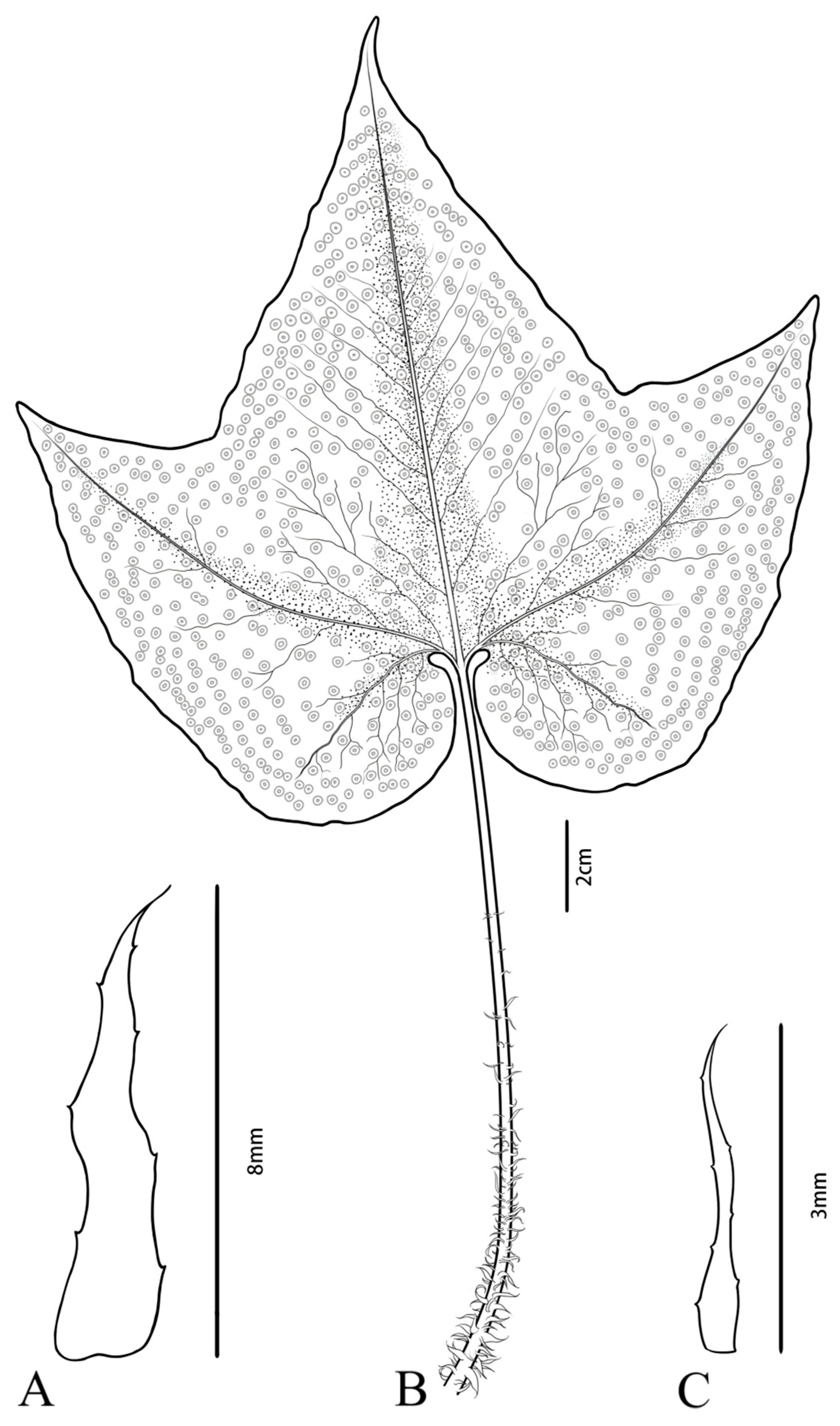 Cimb 47 00771 g001 Cimb 47 00771 g001