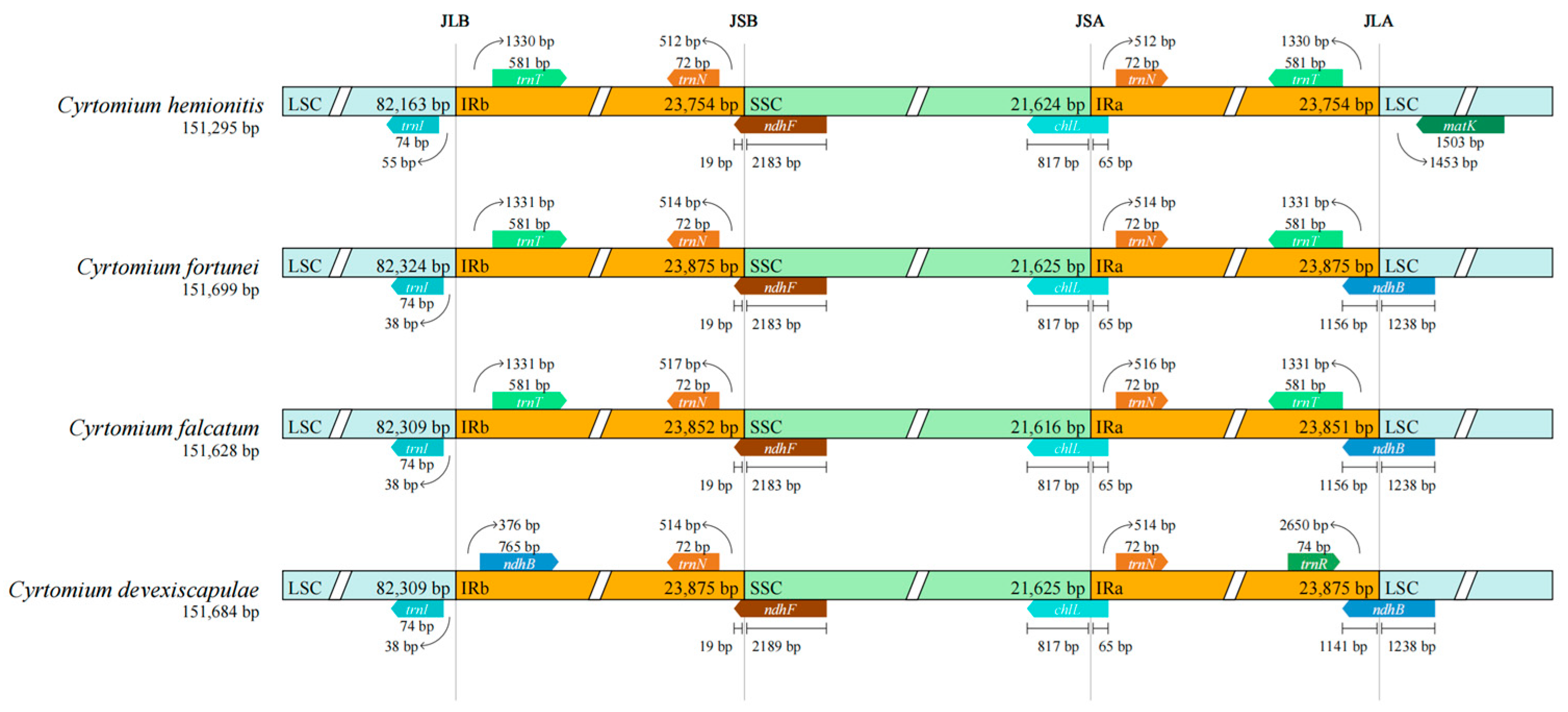 Cimb 47 00771 g005 Cimb 47 00771 g005