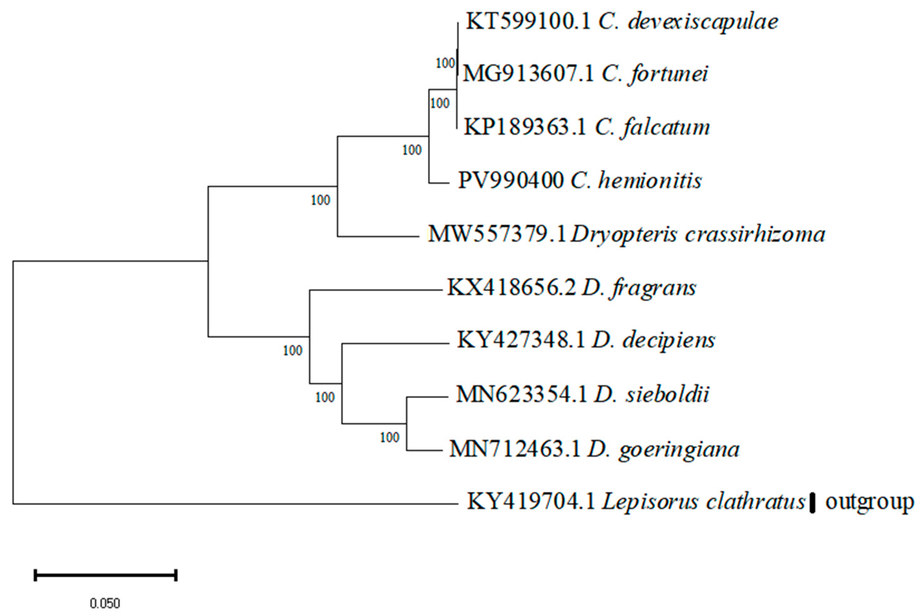 Cimb 47 00771 g006 Cimb 47 00771 g006