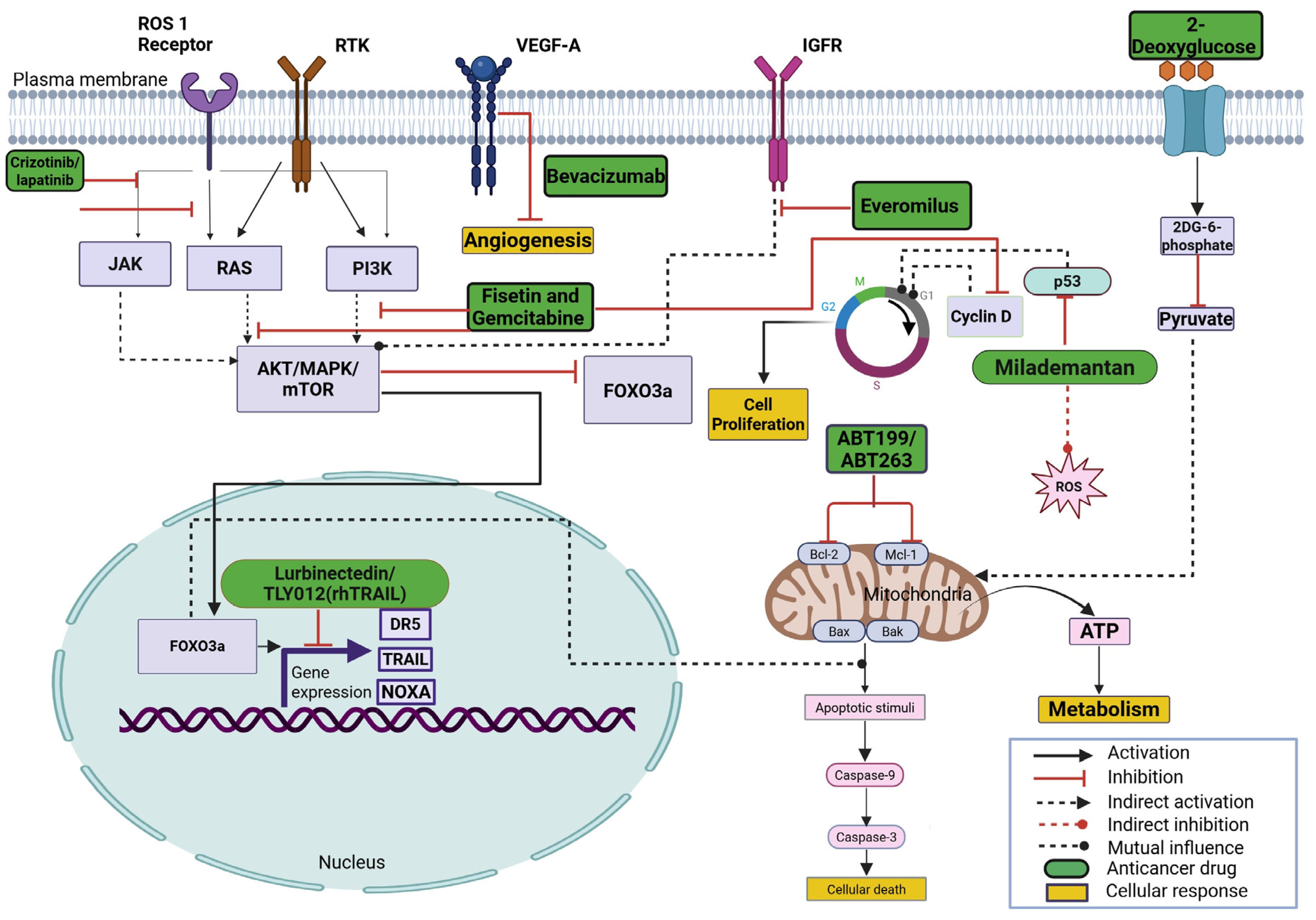 Cimb 47 00775 g002 Cimb 47 00775 g002
