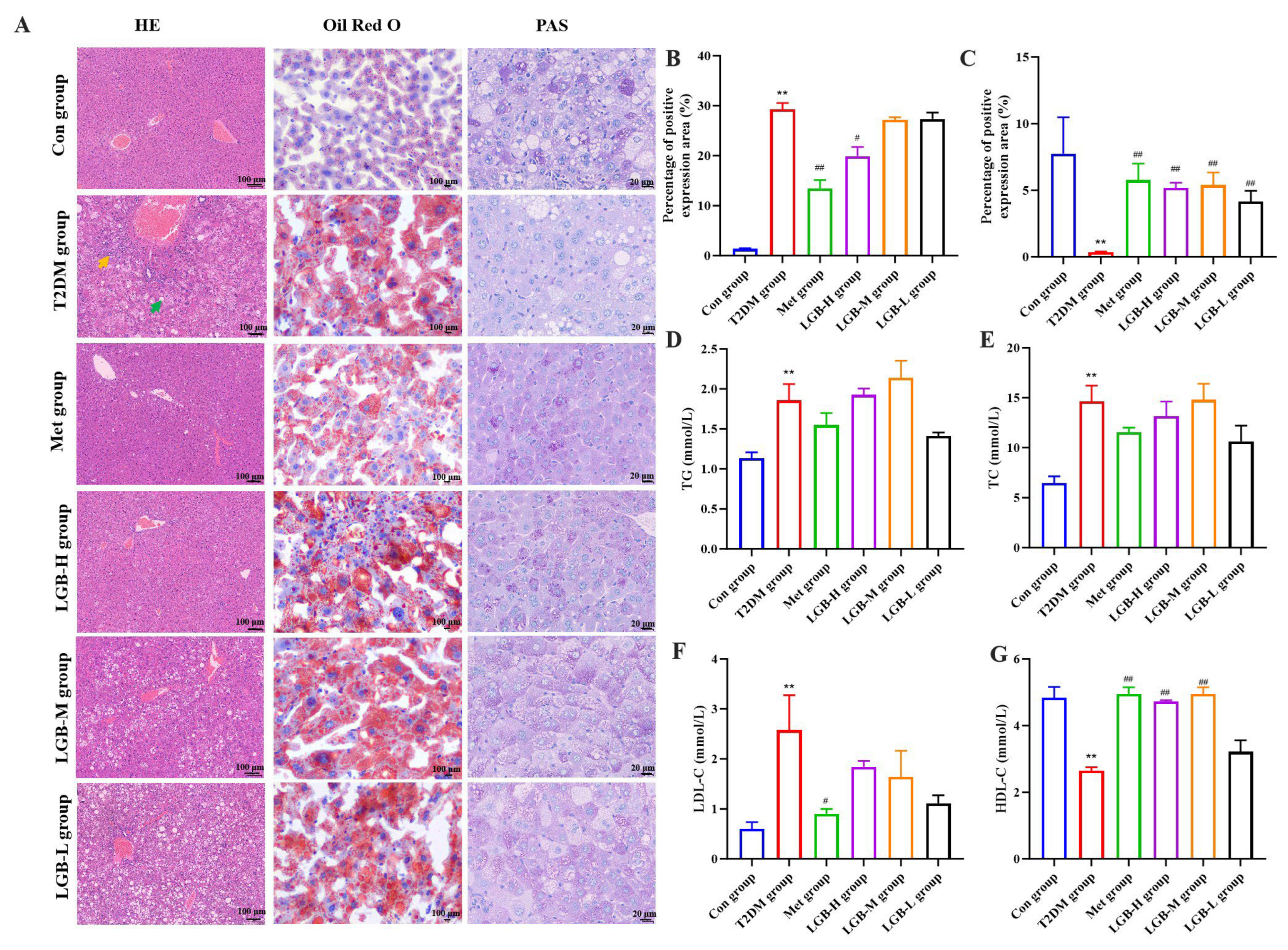 Cimb 47 00779 g005 Cimb 47 00779 g005