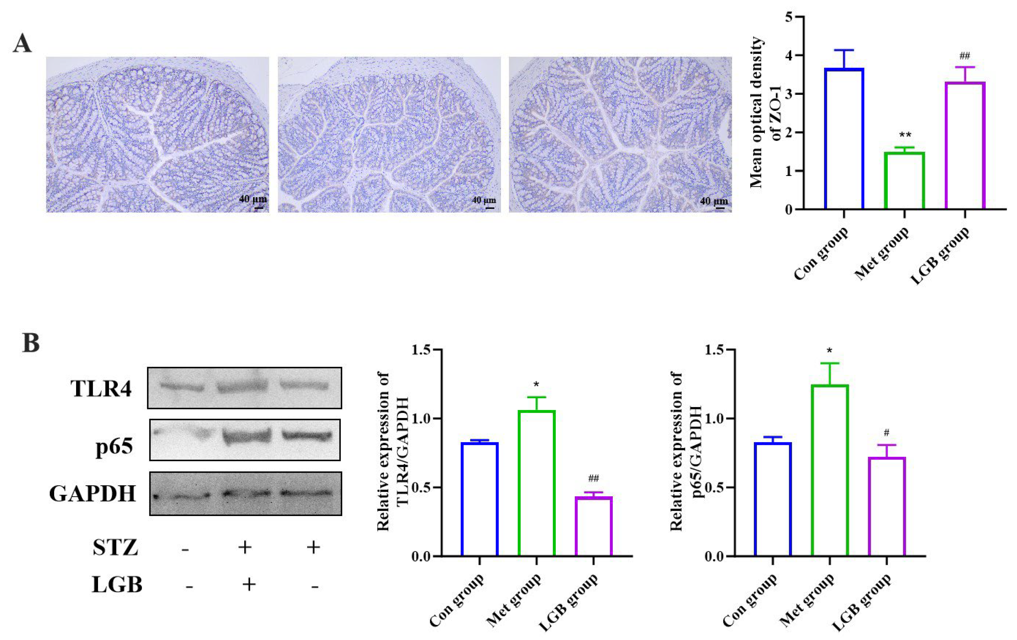 Cimb 47 00779 g010 Cimb 47 00779 g010