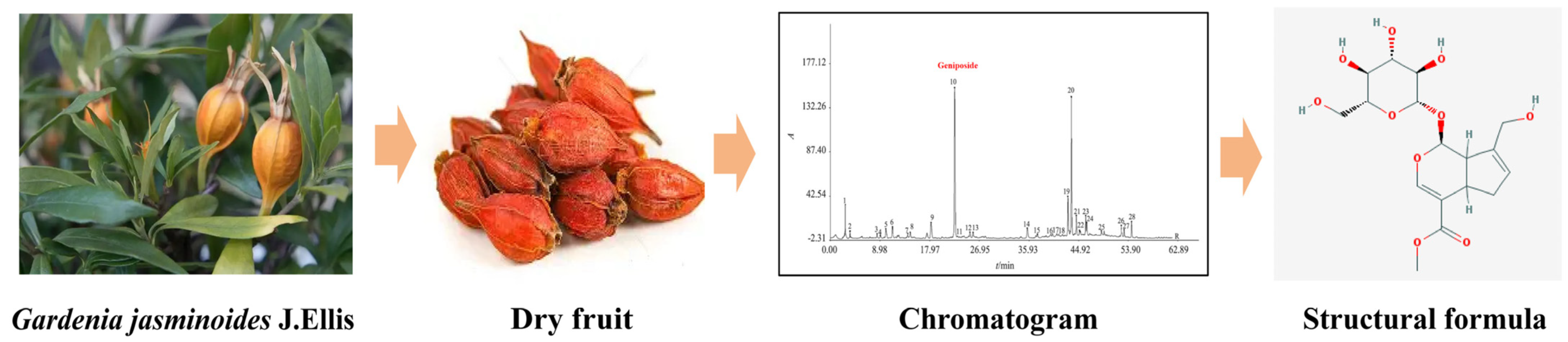 Cimb 47 00786 g001 Cimb 47 00786 g001